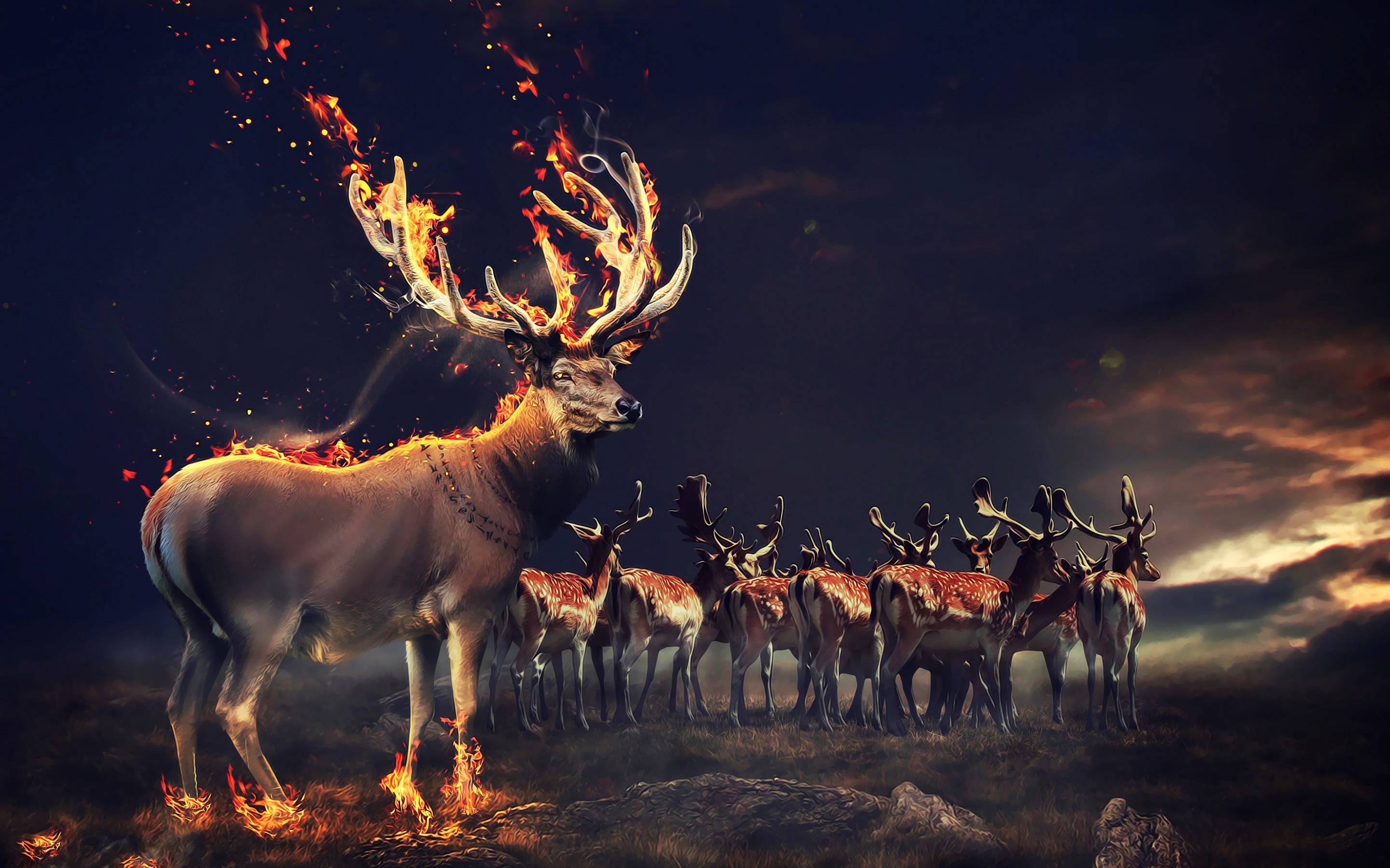 Deers Fire Animals 2t HD Wallpaper