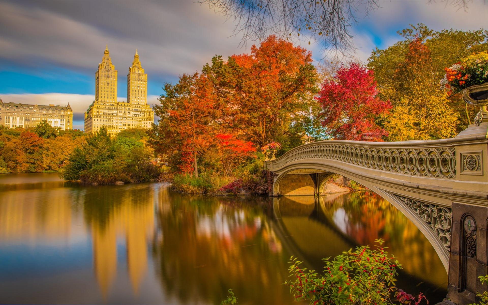 Wallpaper New York, Central Park, bridge, river, trees, autumn