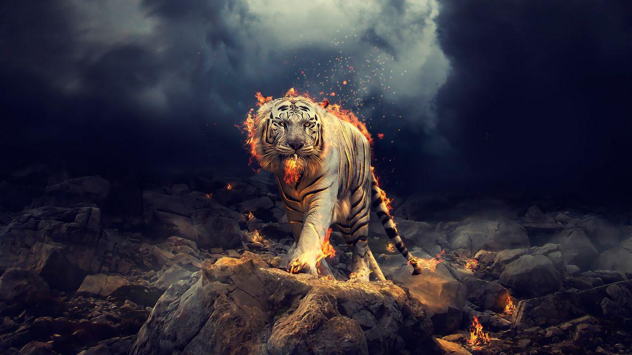 Wallpaper White Tiger, Fire, CGI, HD, Animals