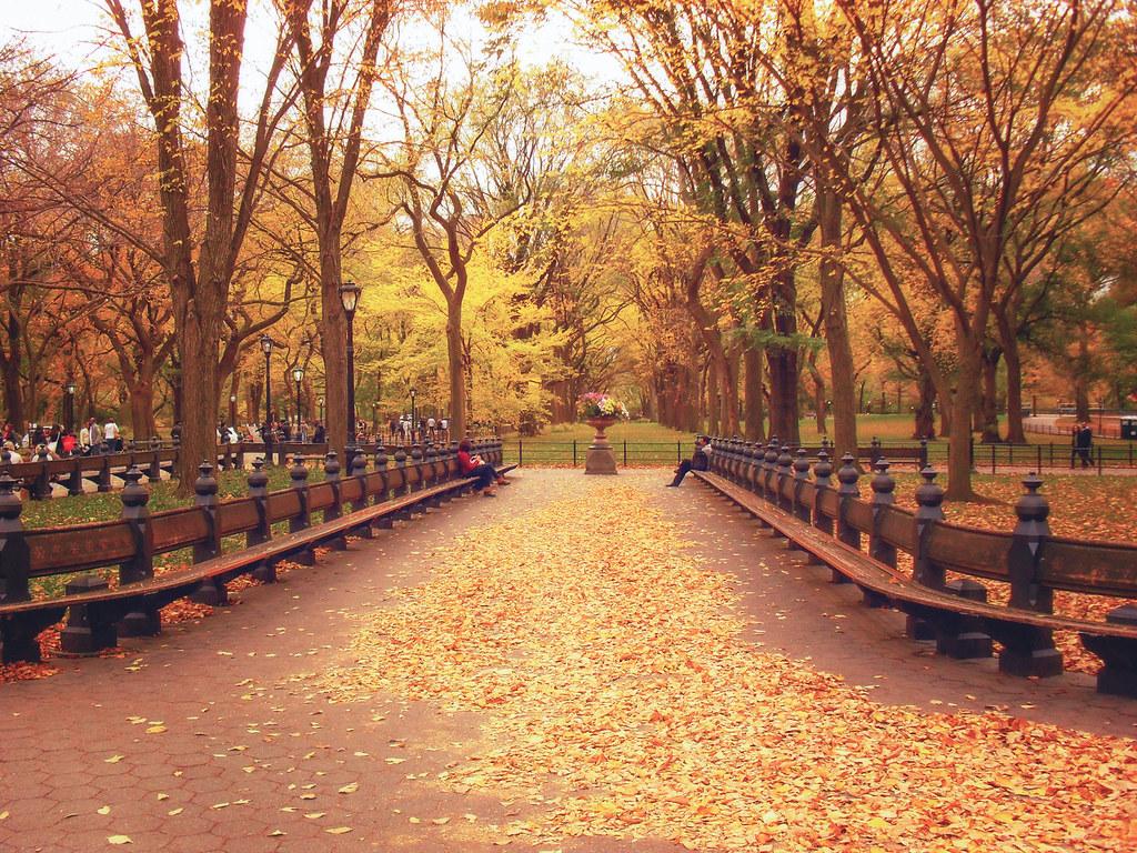 Central Park, New York City, Fall,. Autumn at Central Park'