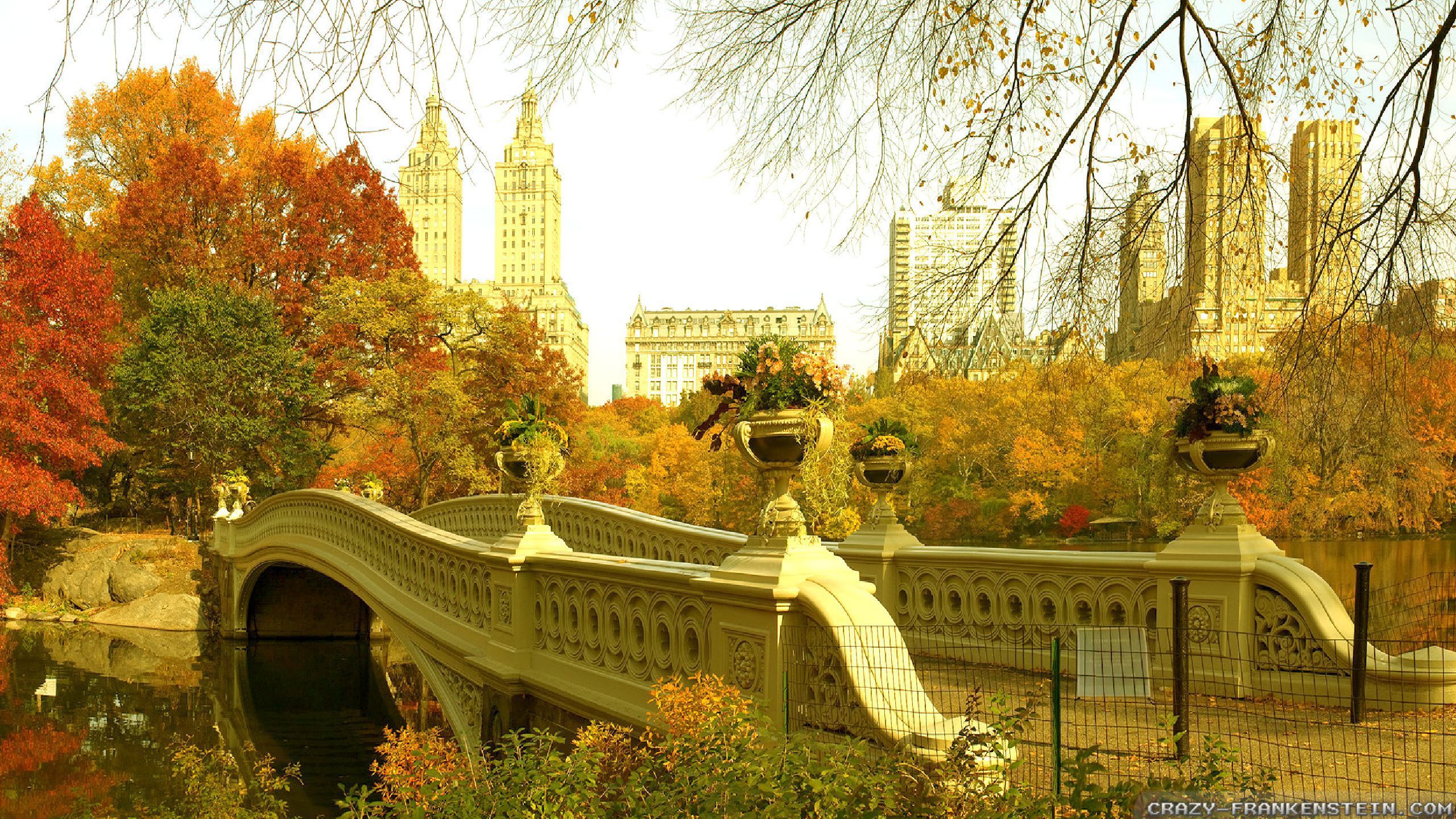 Autumn Central Park New York Wallpapers - Wallpaper Cave