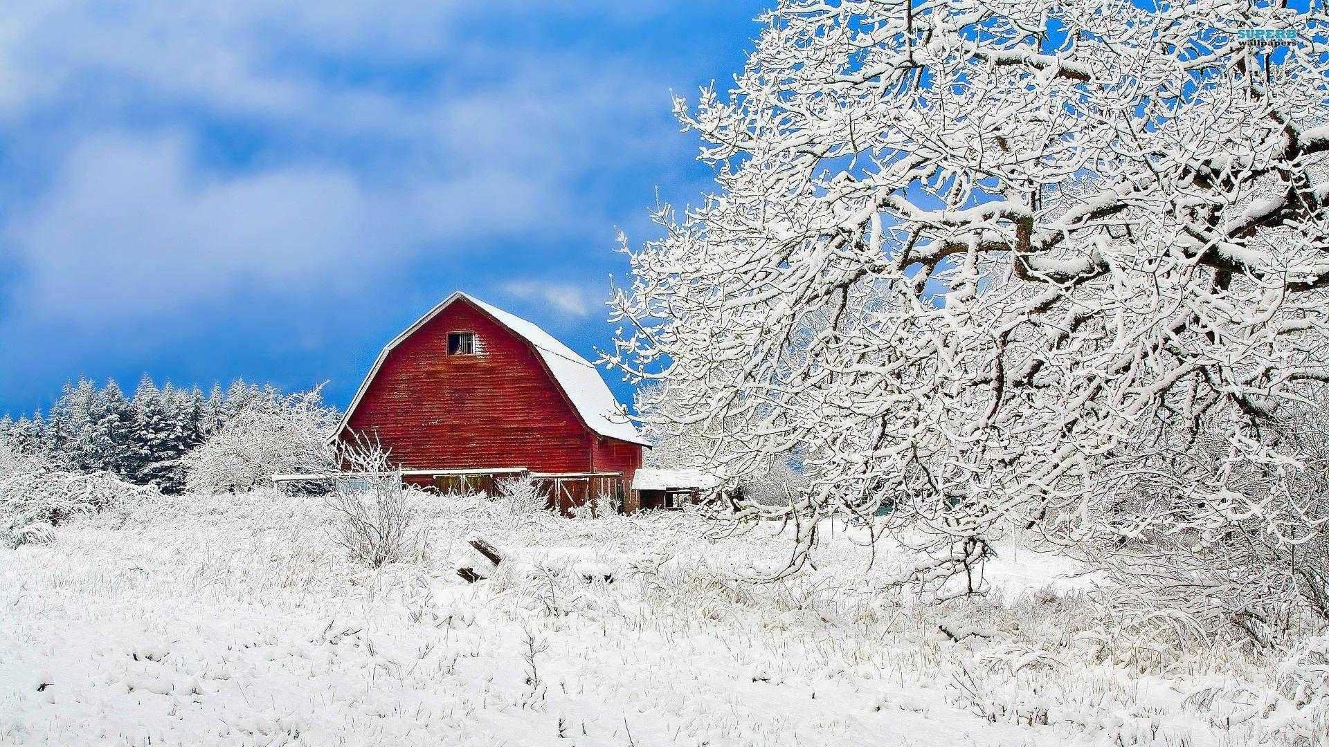 Red Barns in Snow Scenes Wallpaper