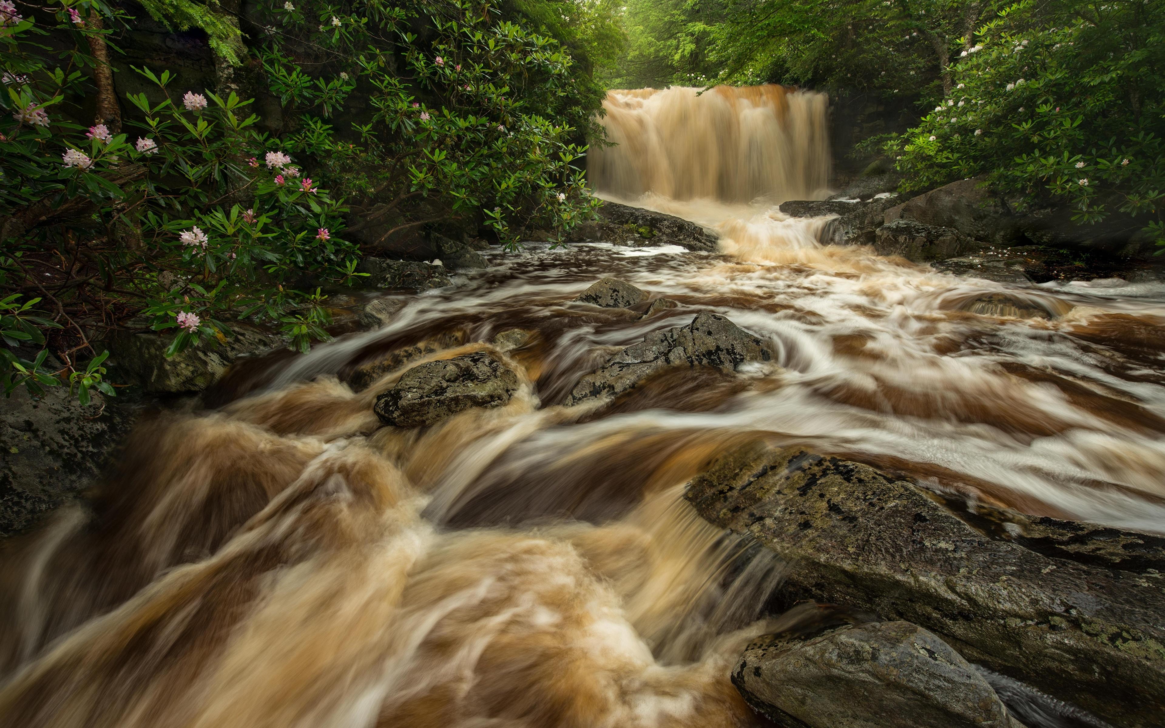 Photos Big Run river West Virginia Nature Waterfalls 3840x2400