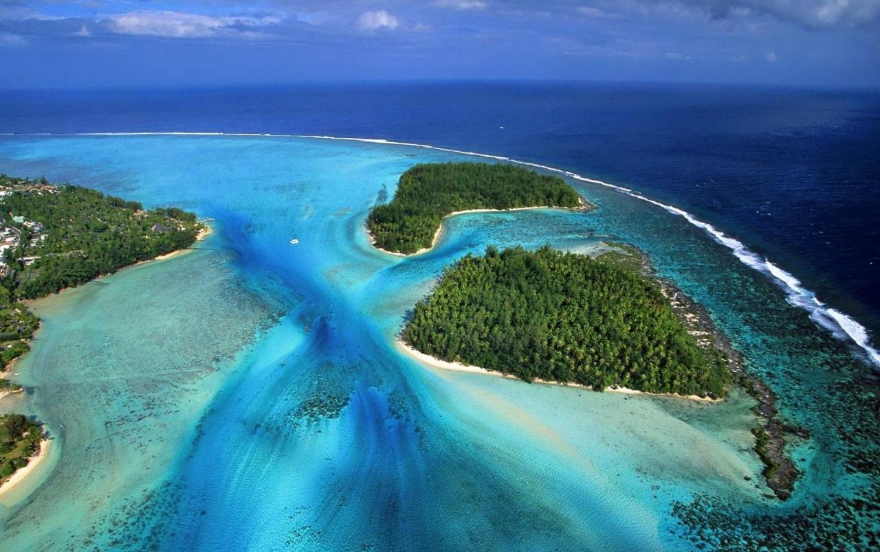 French Moorea Beach Forest wallpaper. French Moorea Beach