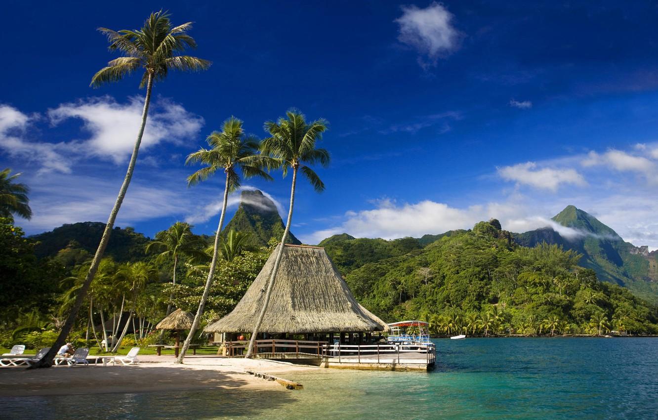 Wallpaper beach, tropics, palm trees, cafe, Tahiti, Moorea