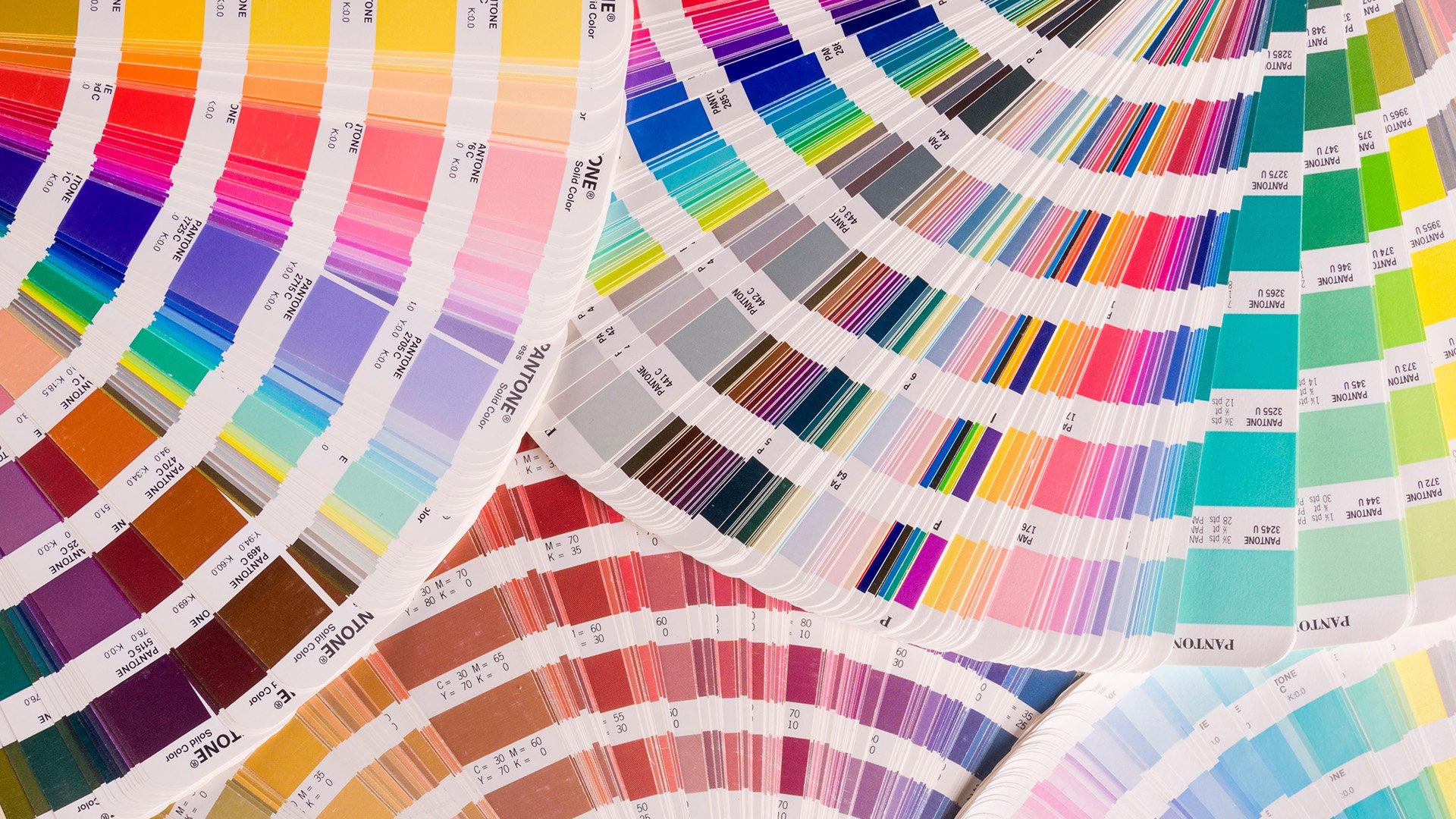 color inspiration secrets only designers know about