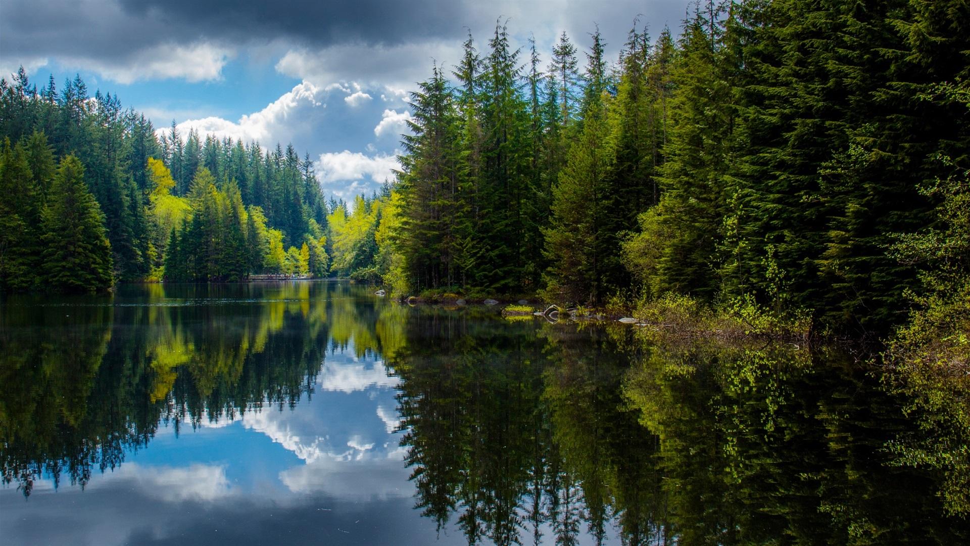 Canada, British Columbia, lake, trees, spring, reflection