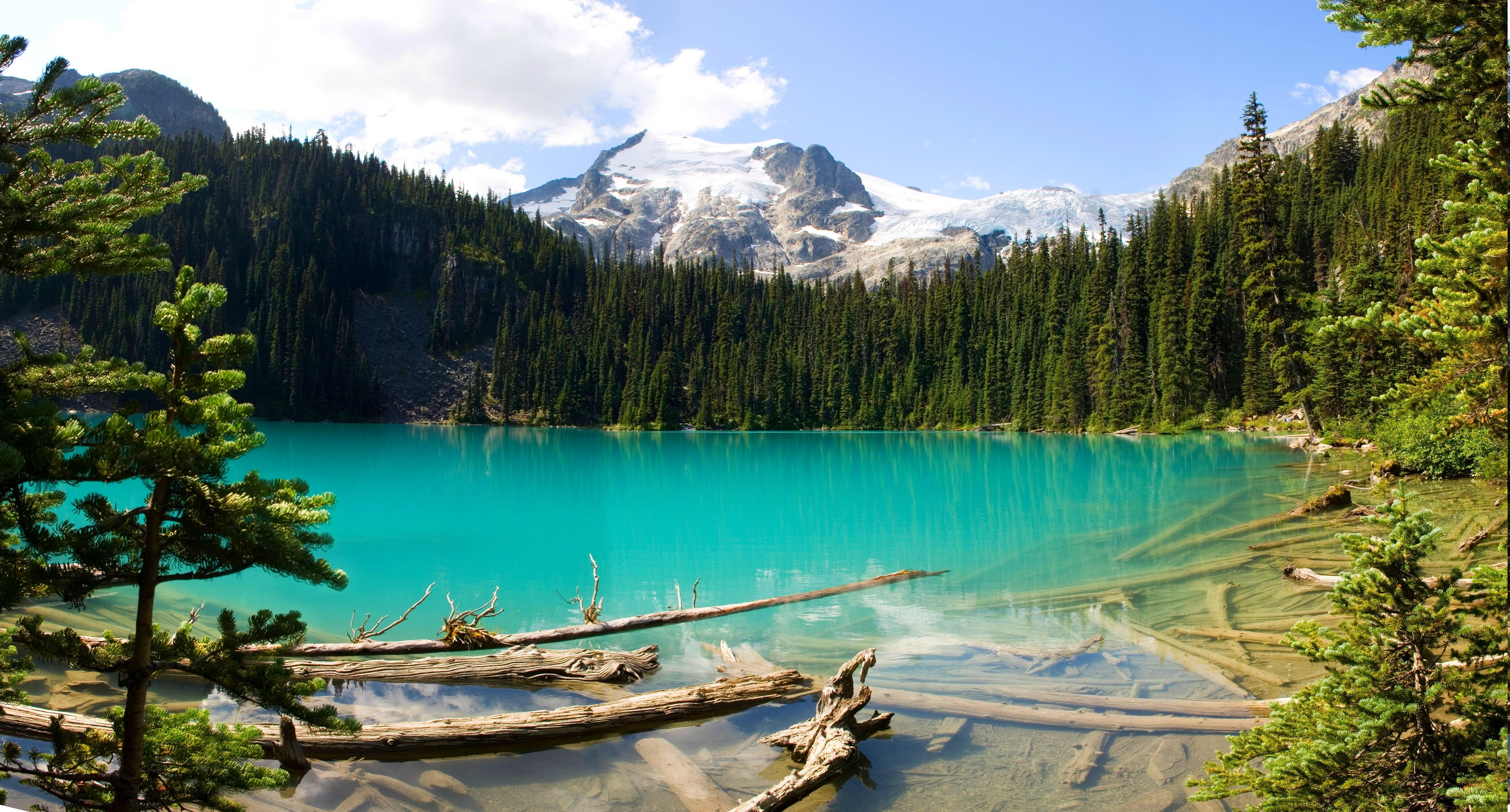 British Columbia, Canada, Lake, Forest, Mountain, Turquoise