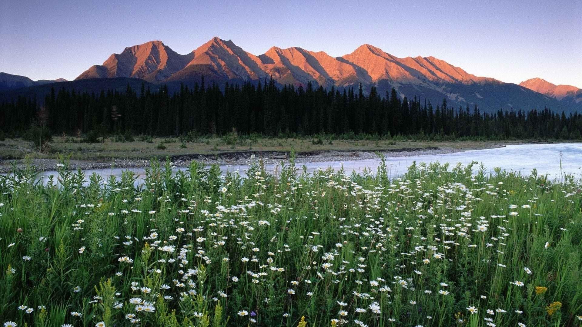 Canada, mountains, Mountain , National, HD Nature