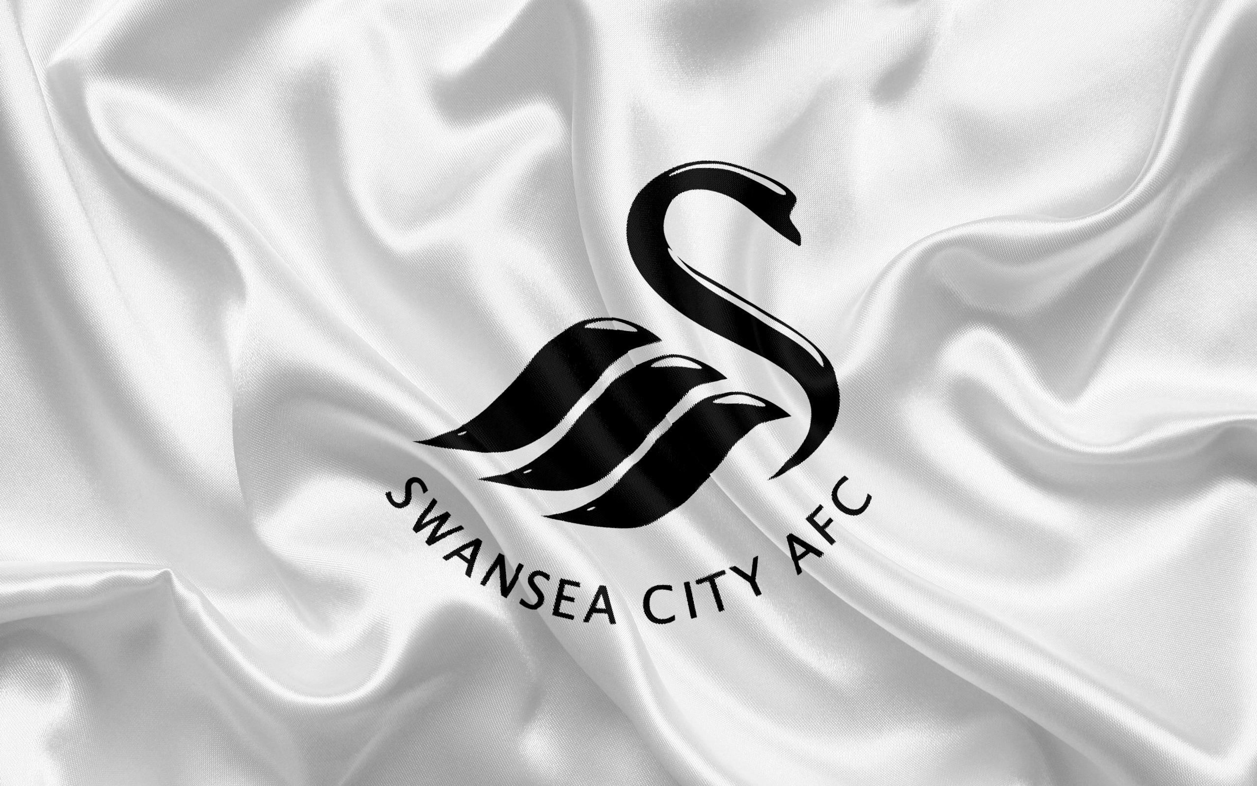 Download wallpaper Swansea City, Football Club, Premier