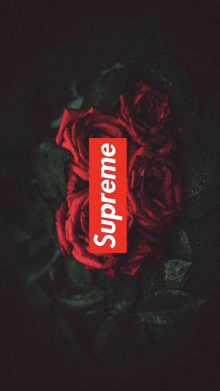 Rose Supreme Anime Wallpapers Wallpaper Cave