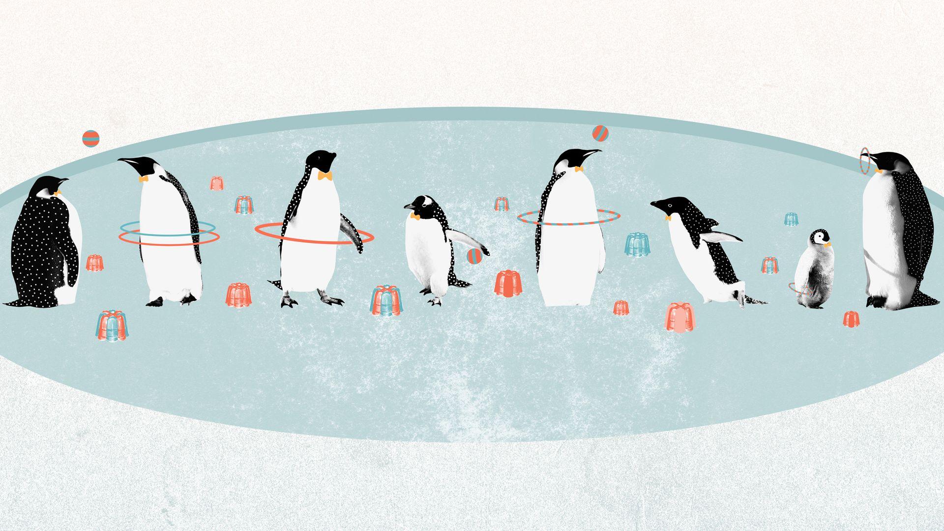 Funny Penguins Cartoon HD Wallpaper