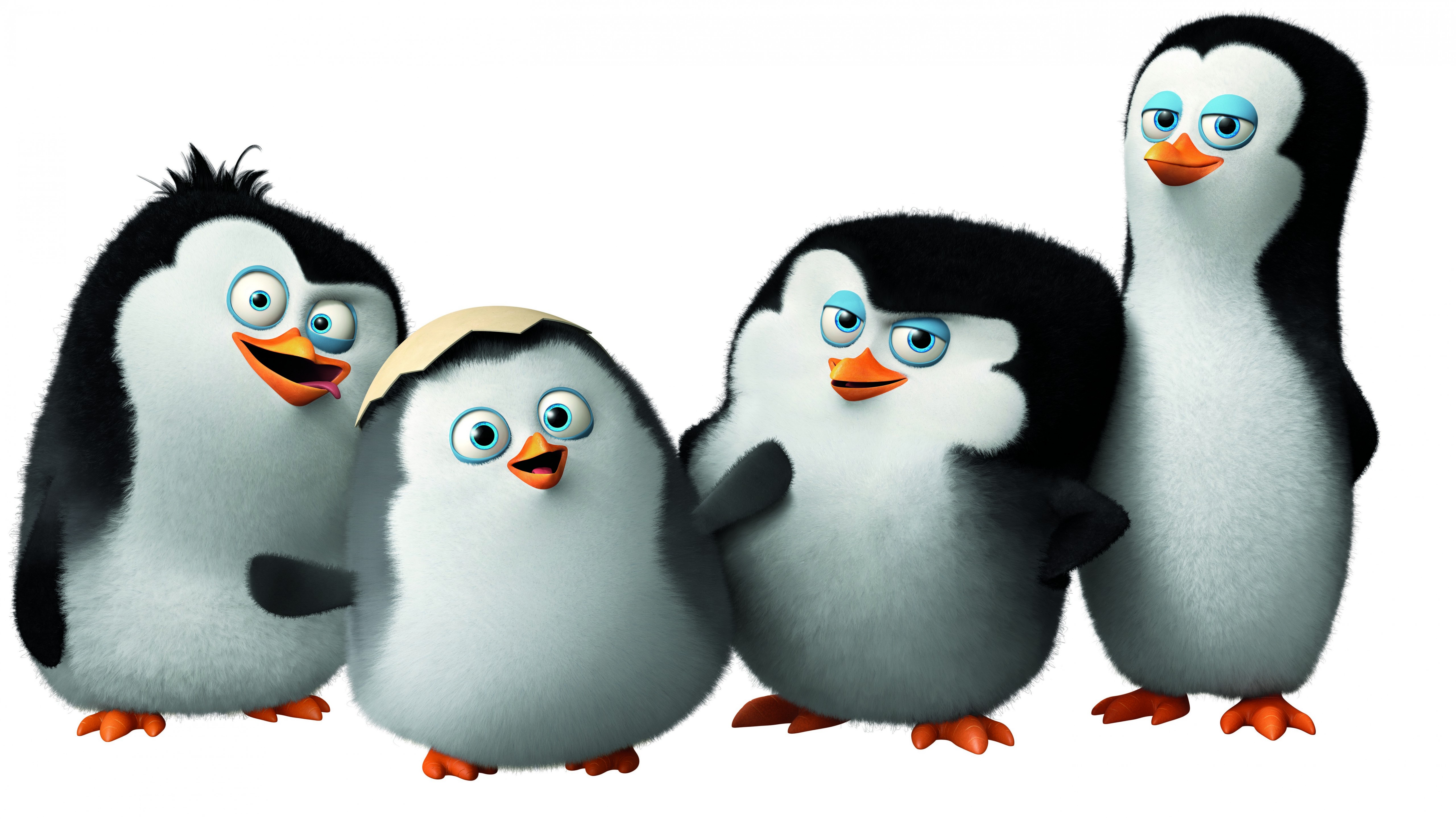 Wallpaper Penguins of Madagascar, cute penguin, cartoon