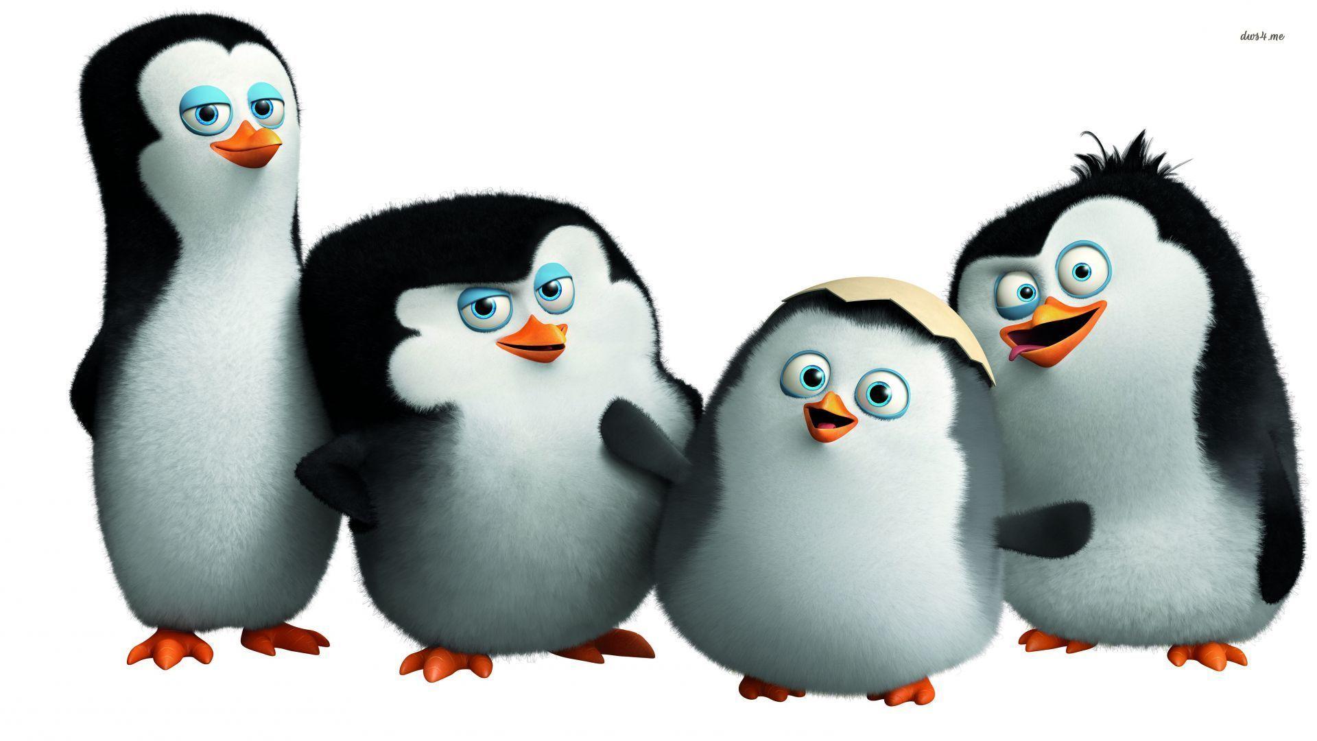 Small penguins in Penguins of Madagascar wallpaper