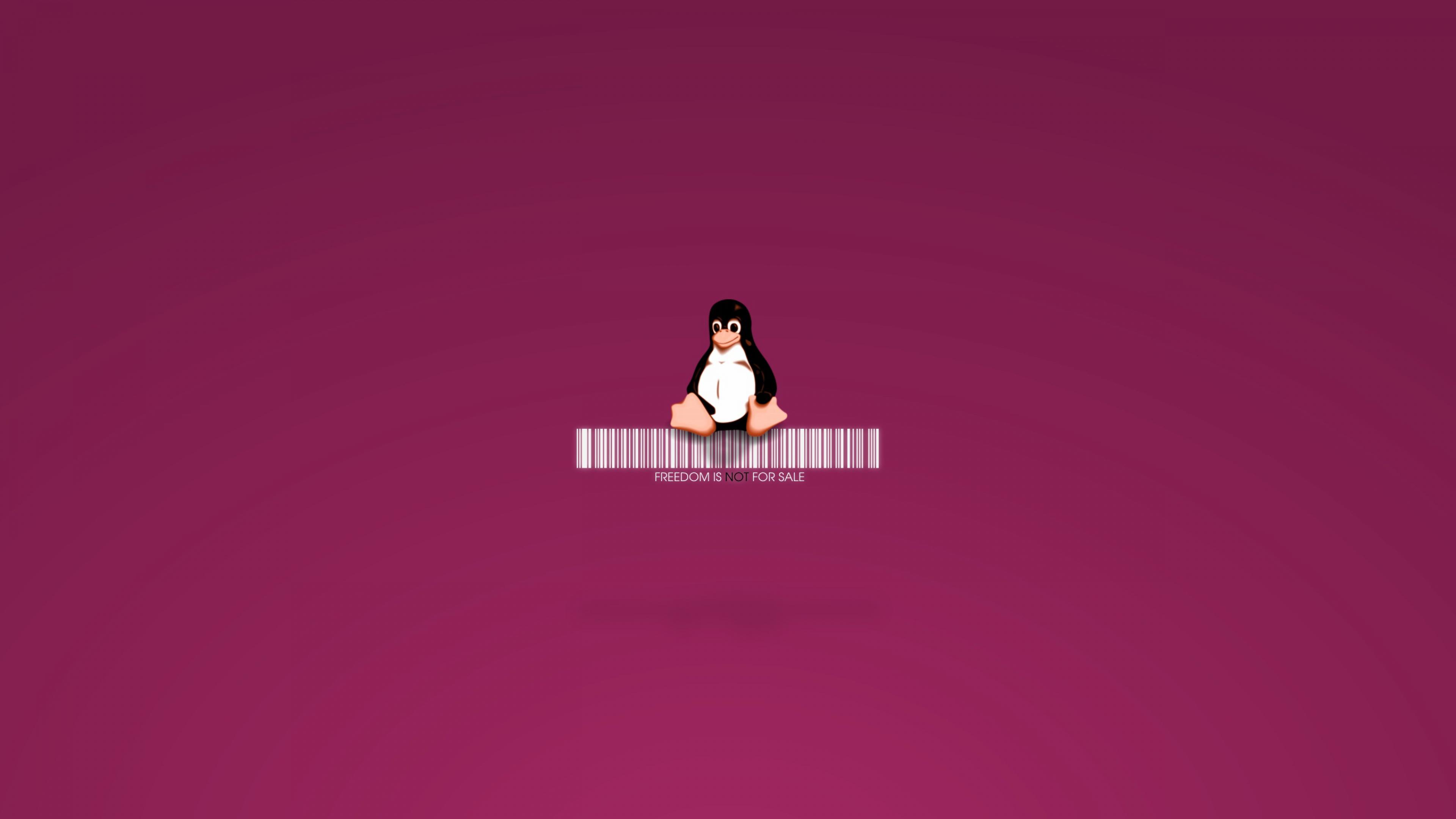 Linux Penguin, HD Computer, 4k Wallpaper, Image