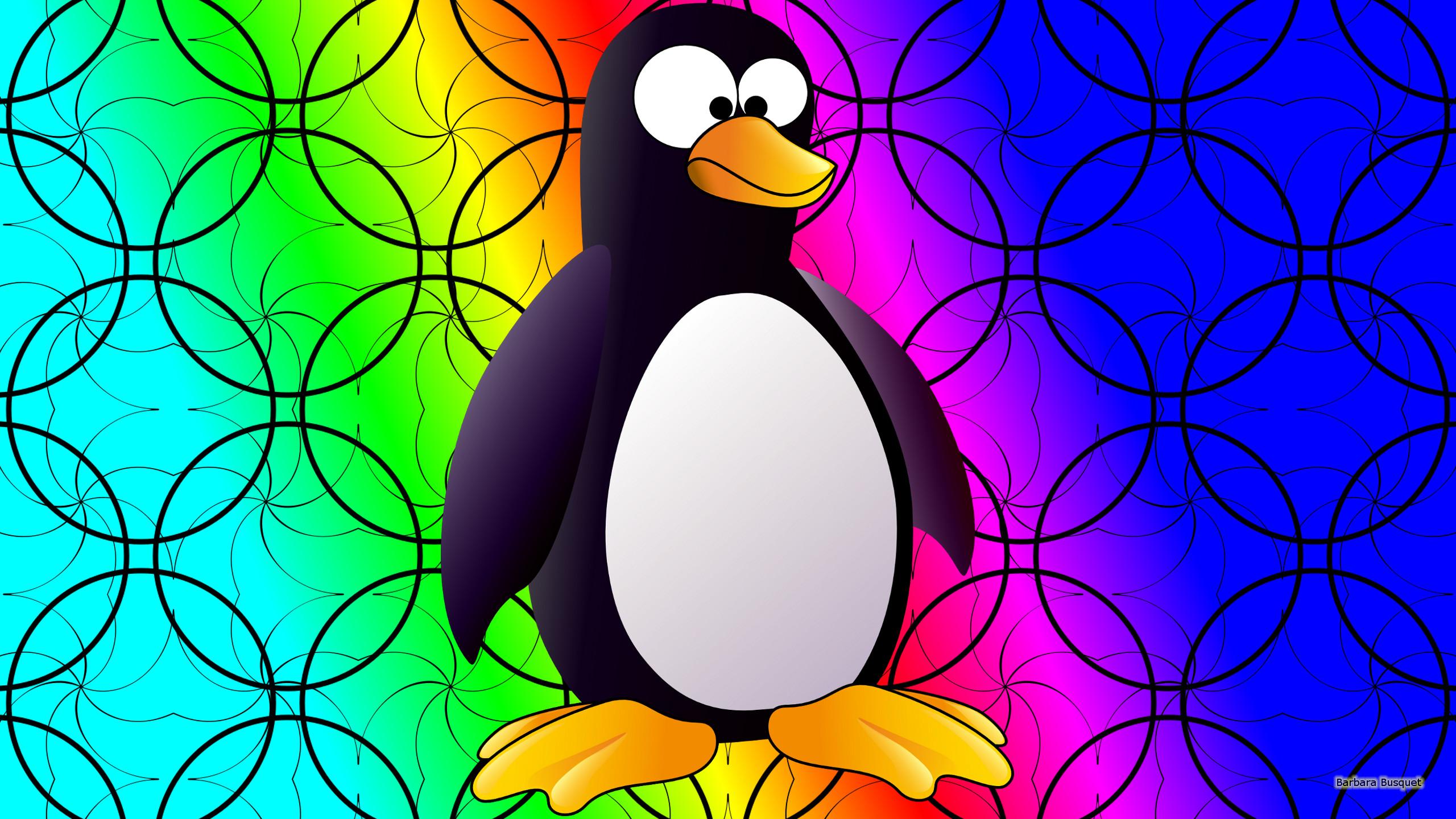 Colorful penguin wallpaper