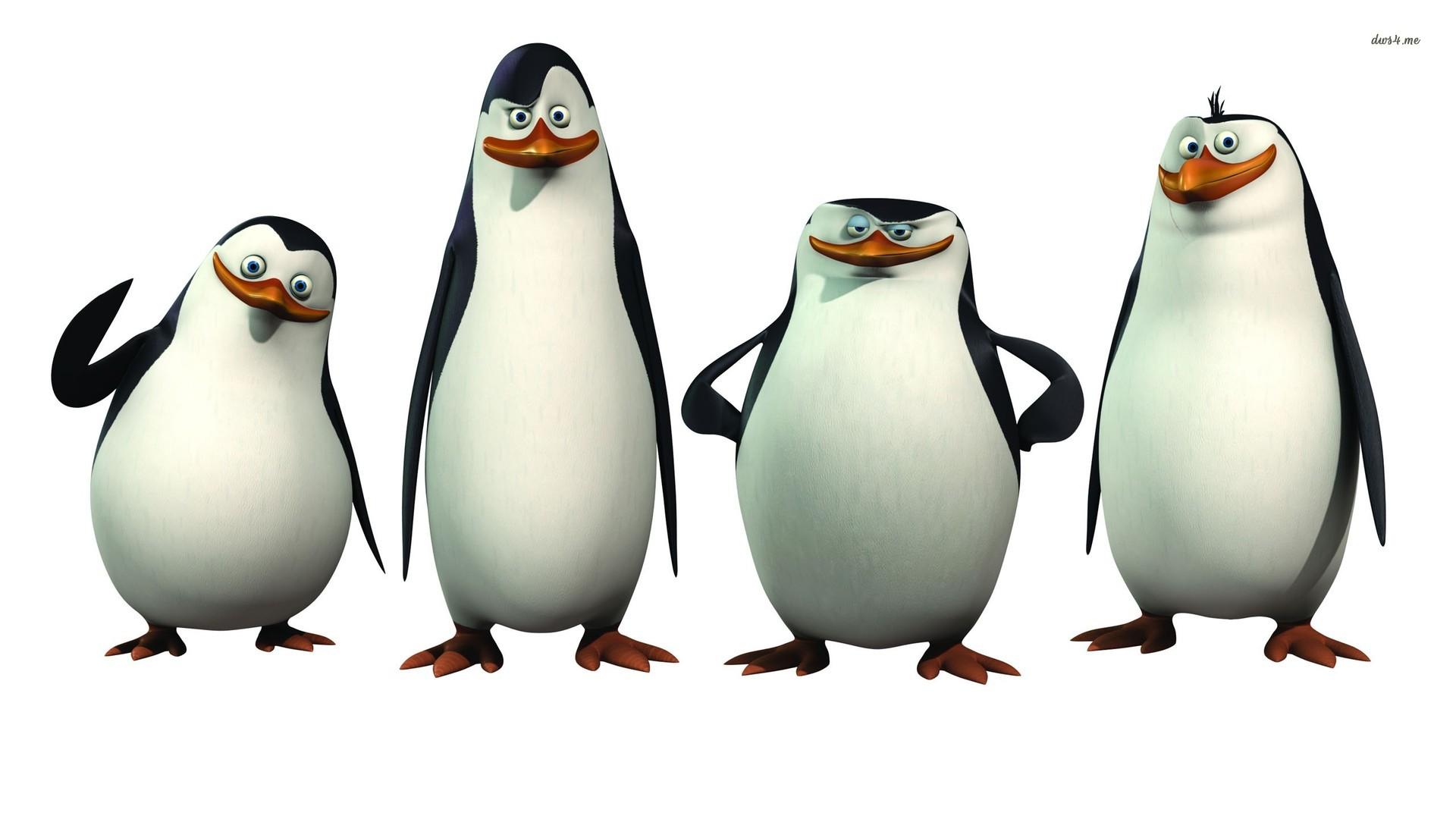 The Penguins of Madagascar wallpaper wallpaper