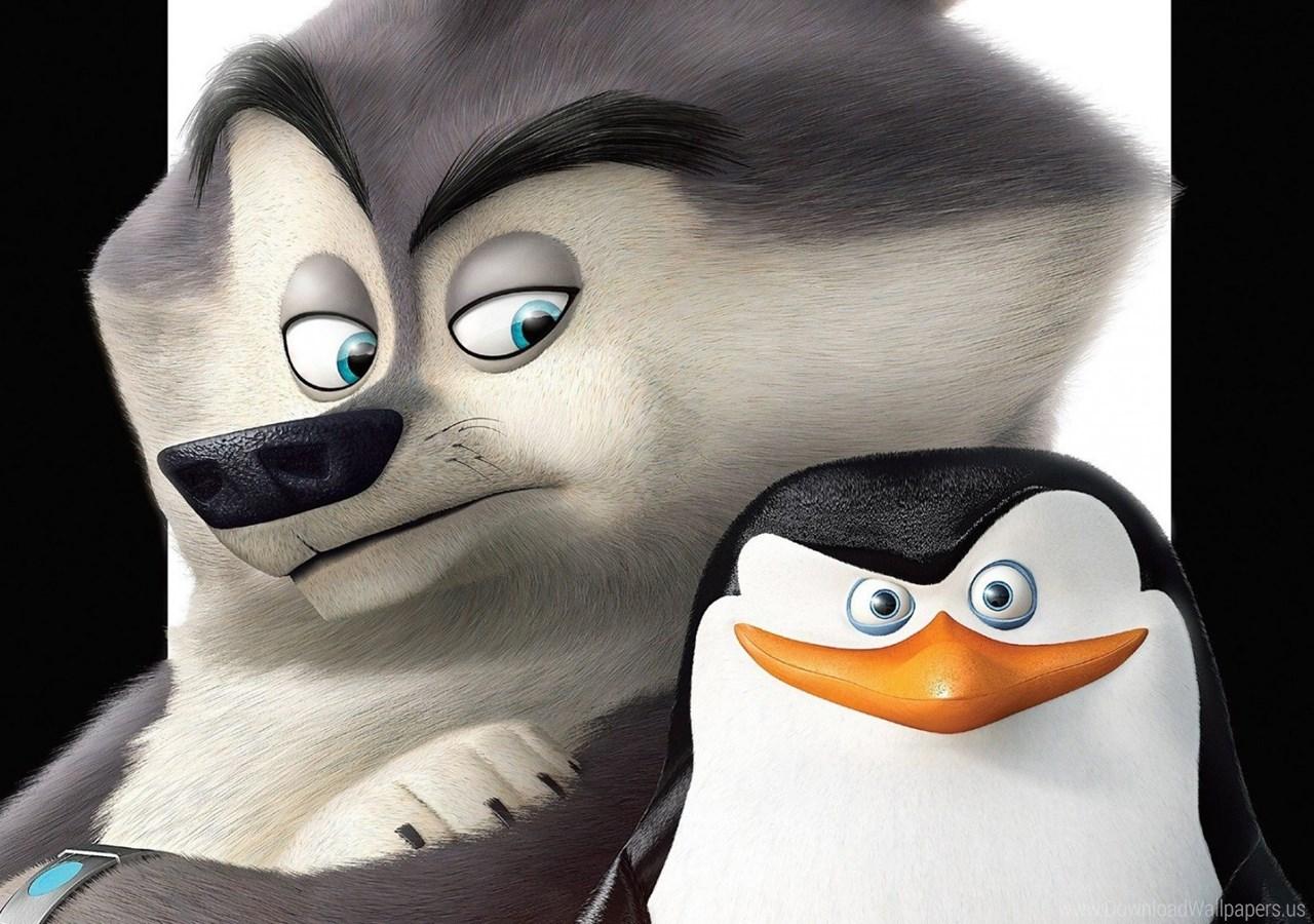 Download 1280x900, Cartoon, Penguins, Penguins Of