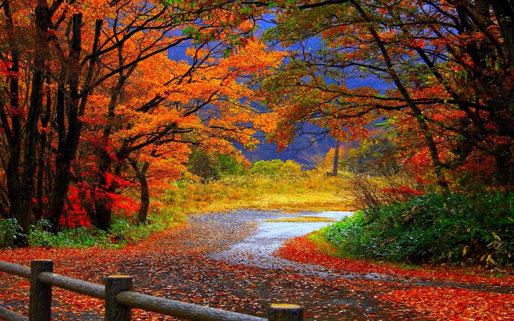 autumn fall scenery wallpapers