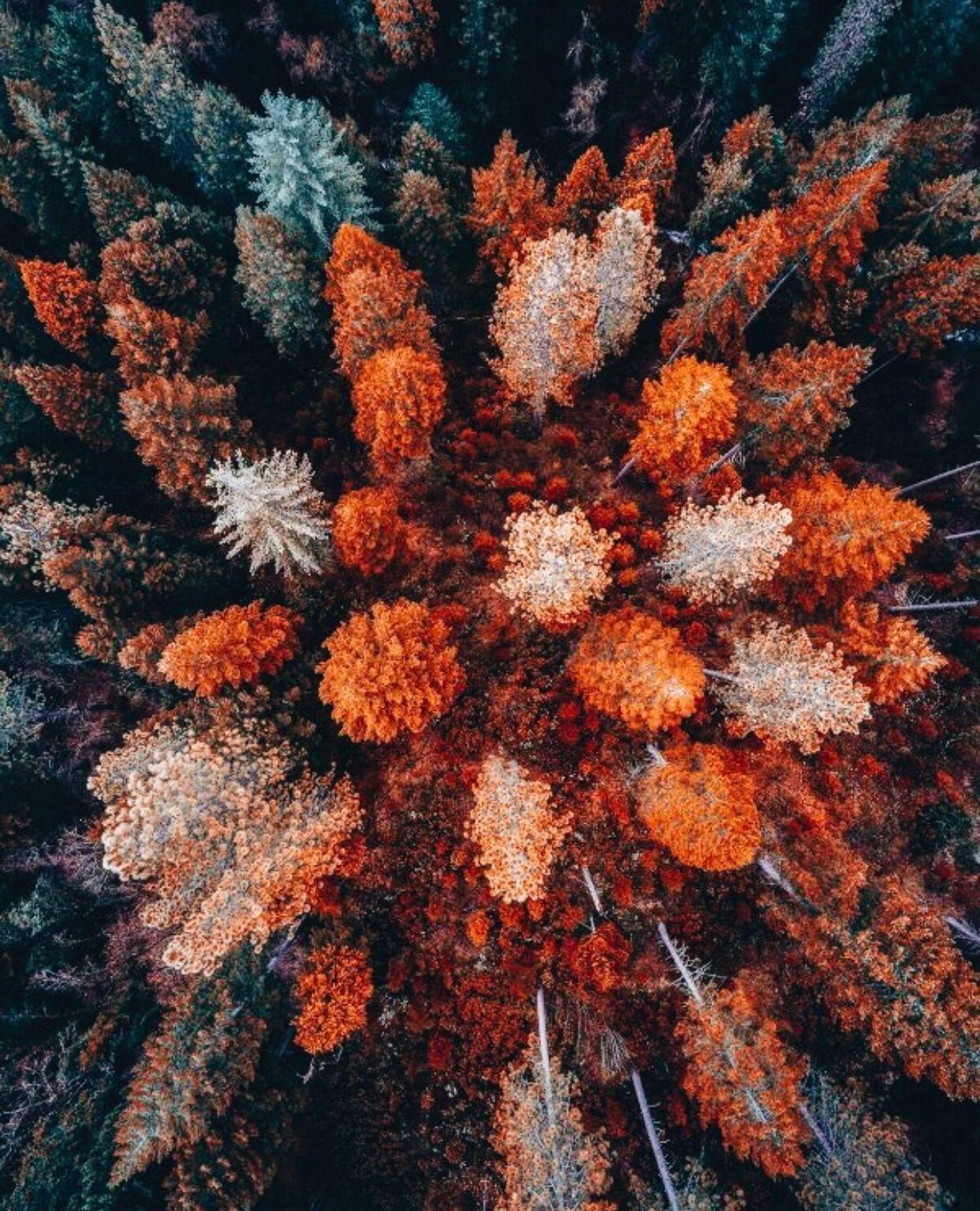 Fall Aesthetic Wallpaper Free Fall Aesthetic