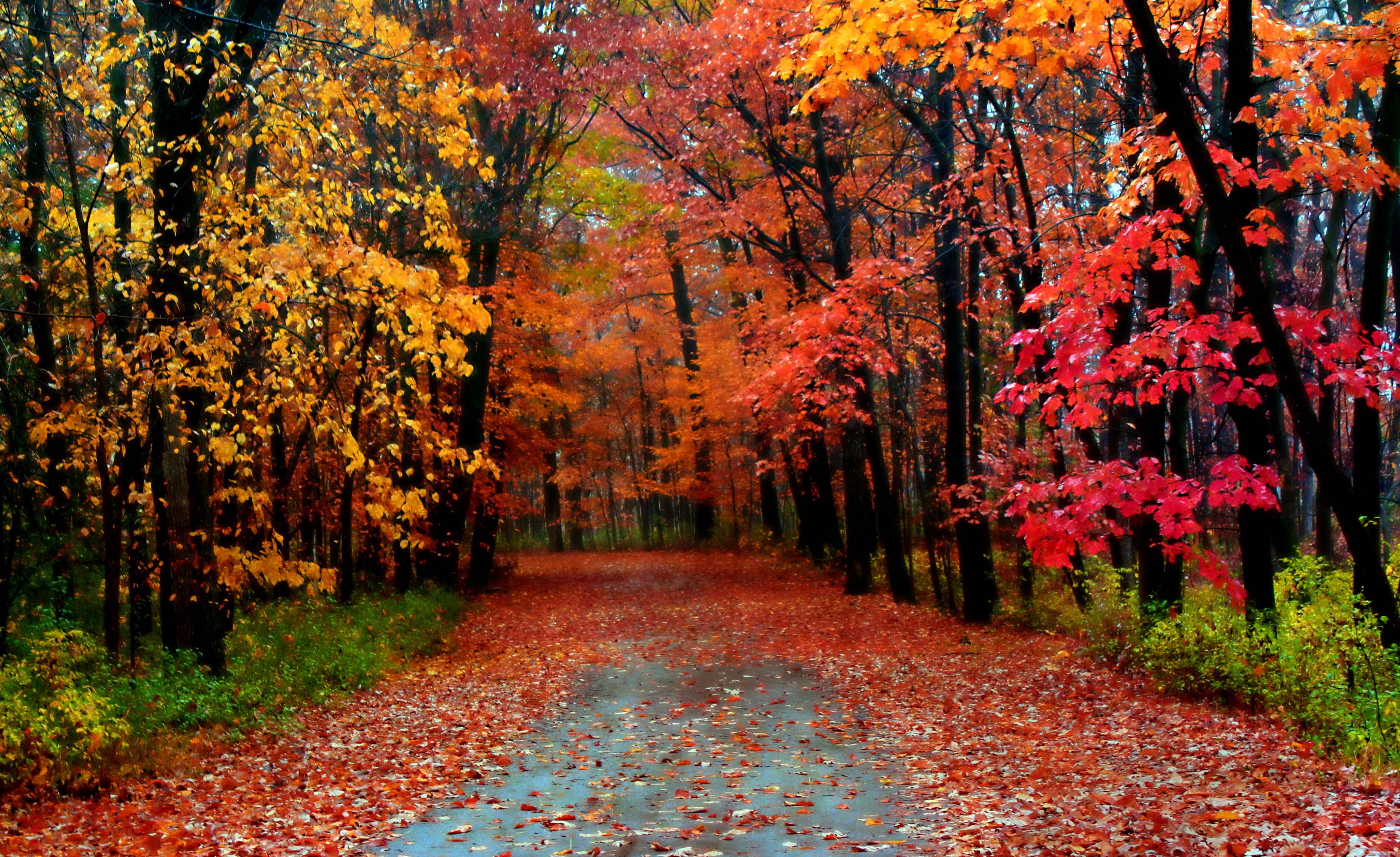 Autumn Season Wallpapers Wallpaper Cave