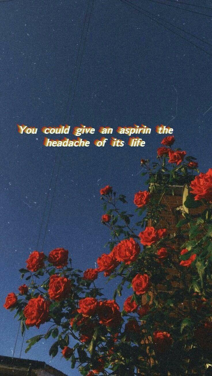iPhone Wallpaper, Android wallpaper, song lyrics, Aesthetic