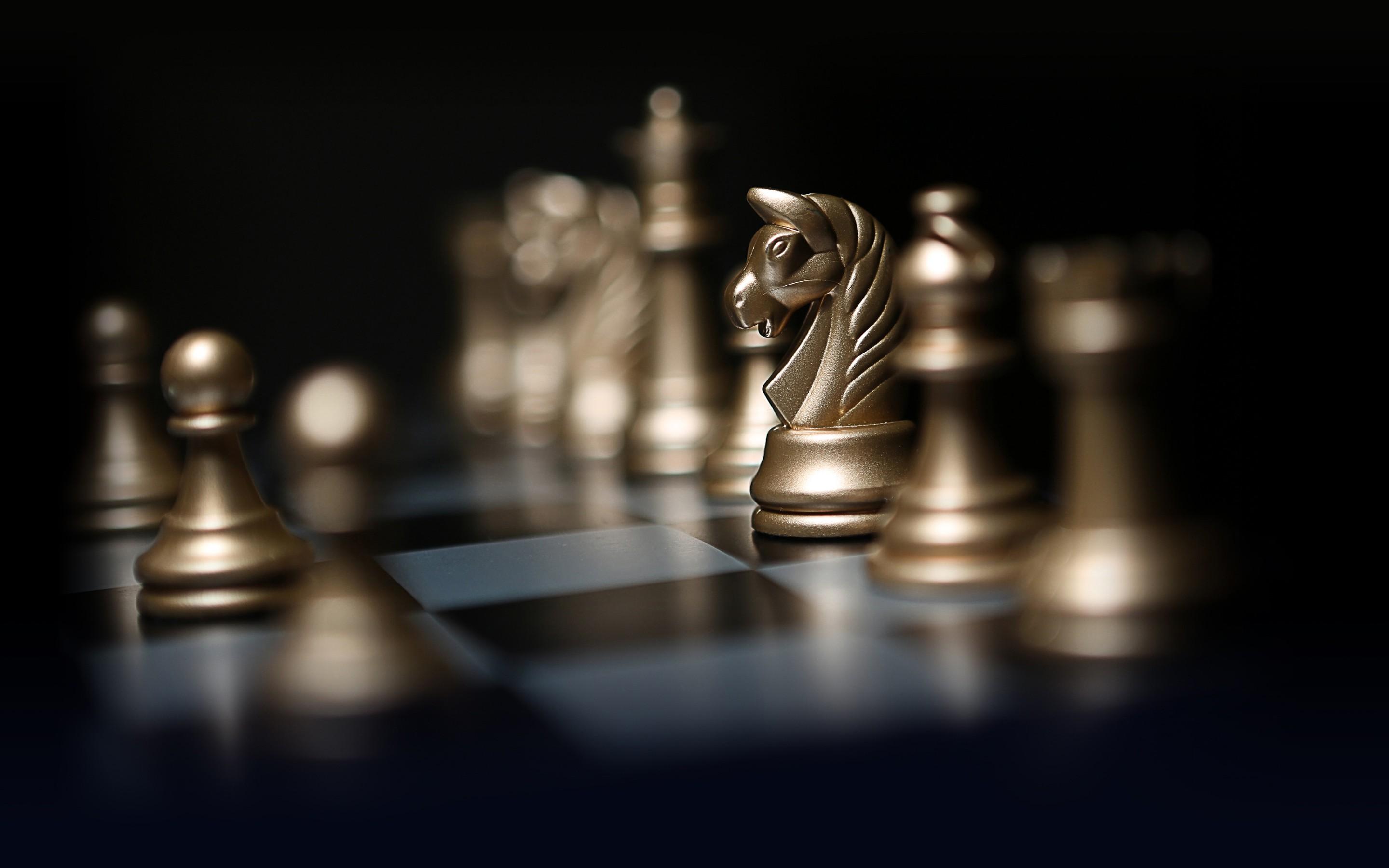 Download wallpaper chess, intellectual games, figure horse