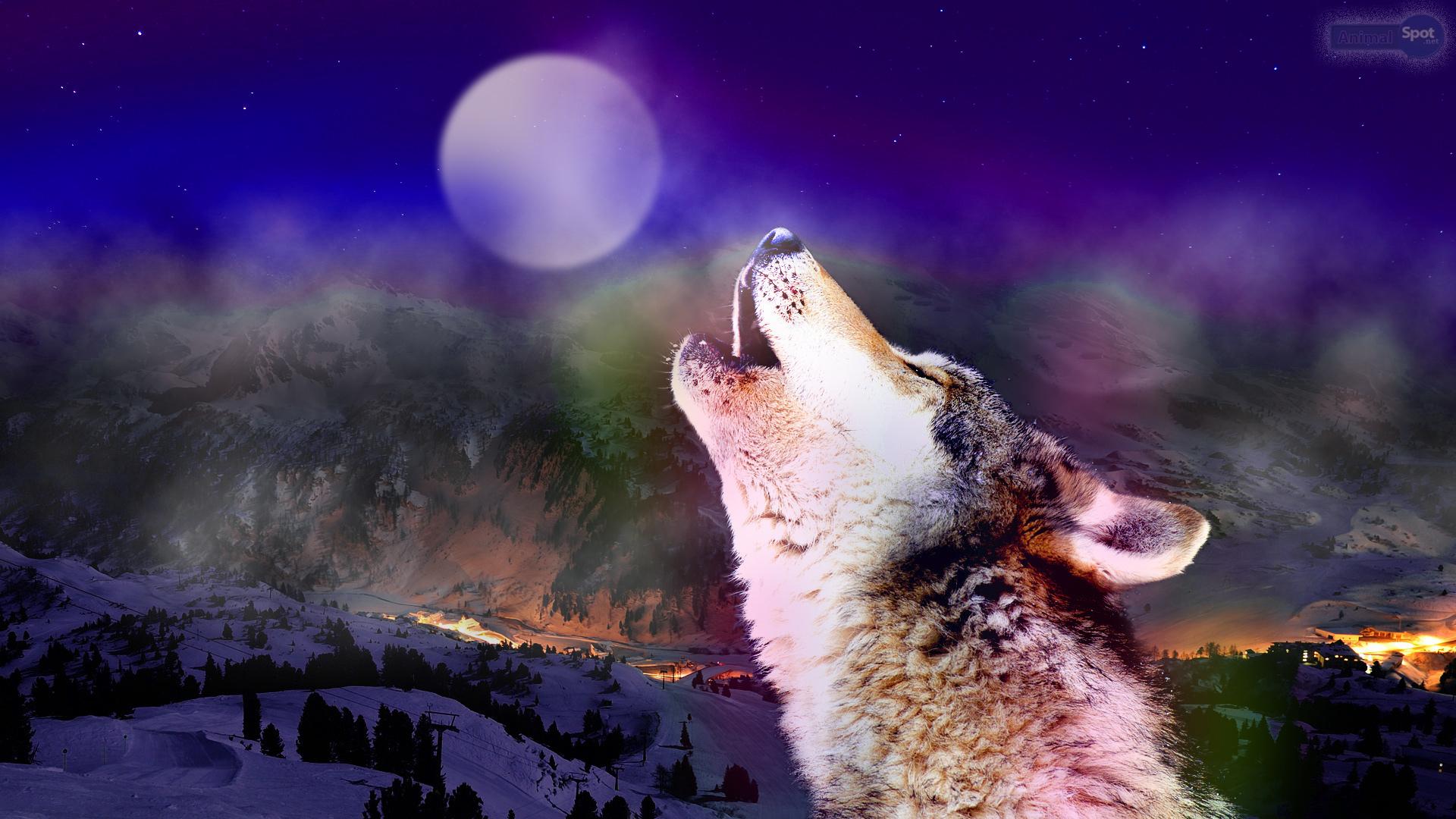 Wolf Fantasy Abstract Background Wallpaper on Desktop Nexus 1920x1080