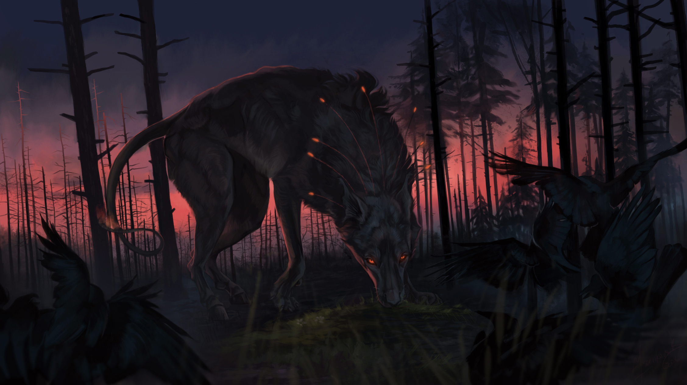 Wolf Fantasy, HD Artist, 4k Wallpaper, Image, Background, Photo