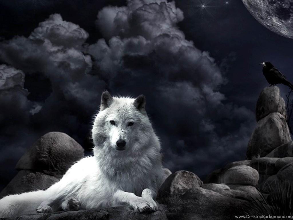 Night Wolf Fantasy Wallpaper Desktop Background