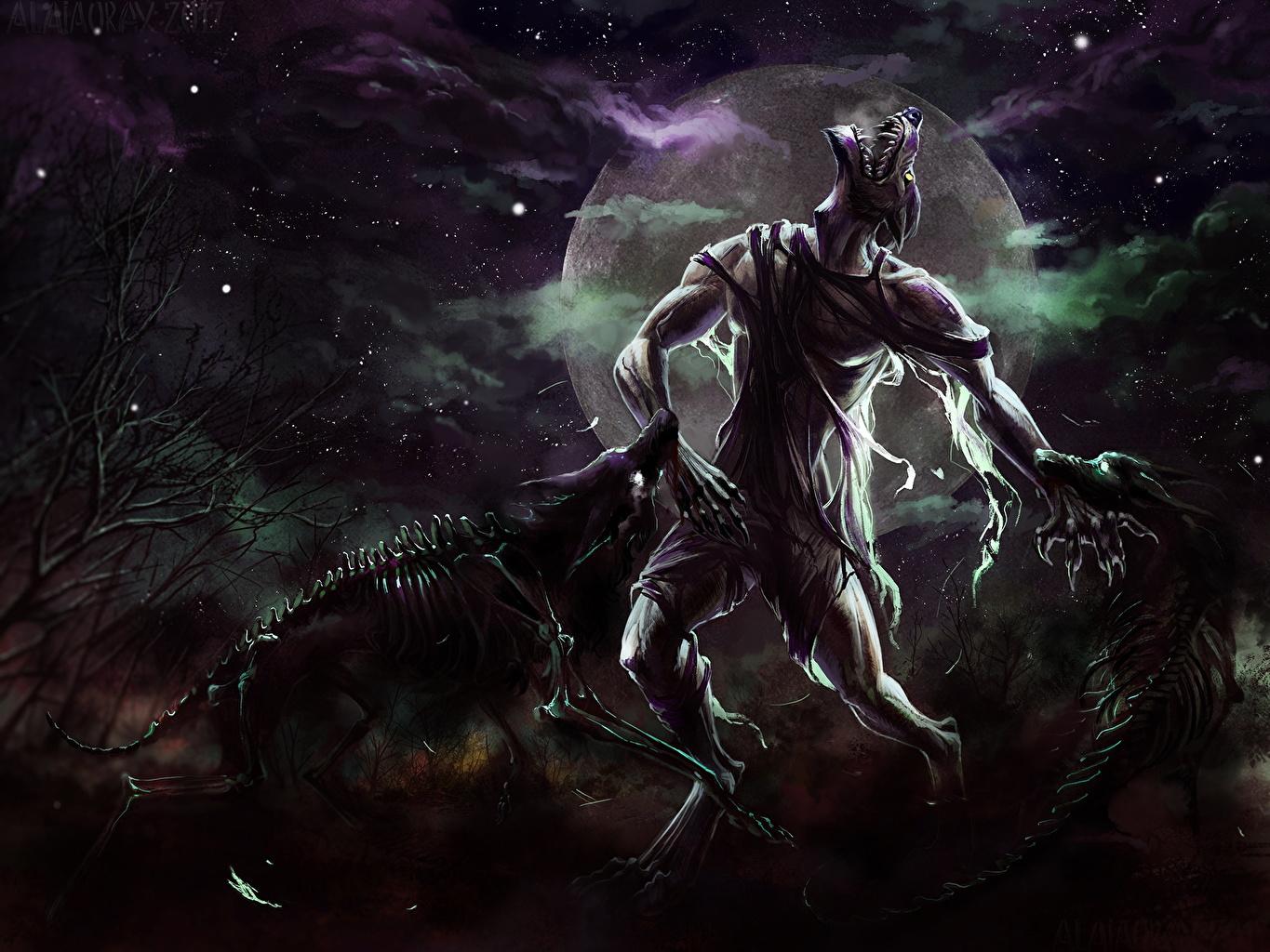 Desktop Wallpaper wolf monster lycanthrope Fantasy Skeleton Moon