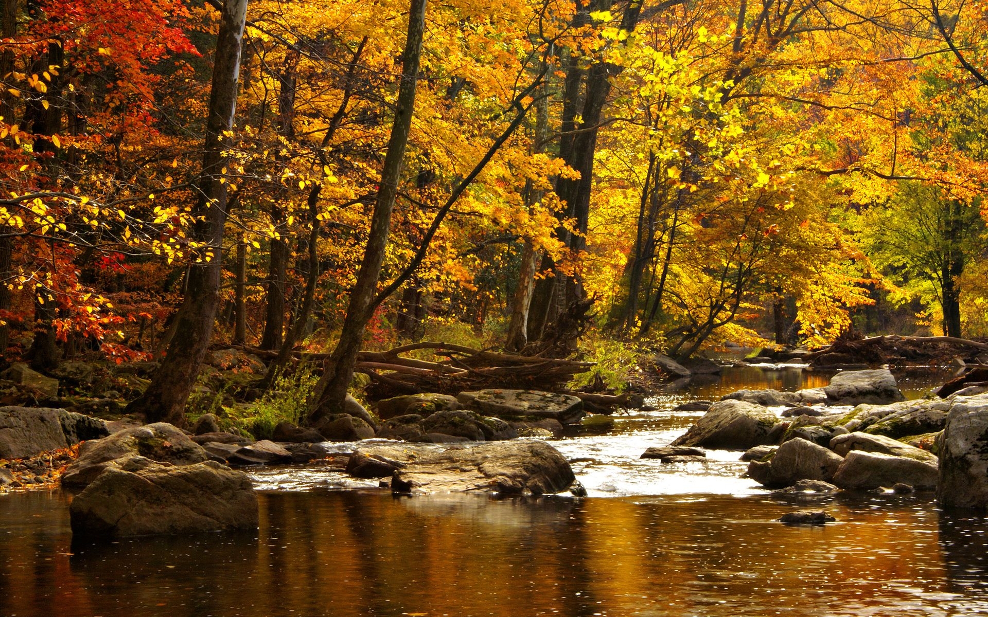 Autumn River Background Wuidescreen