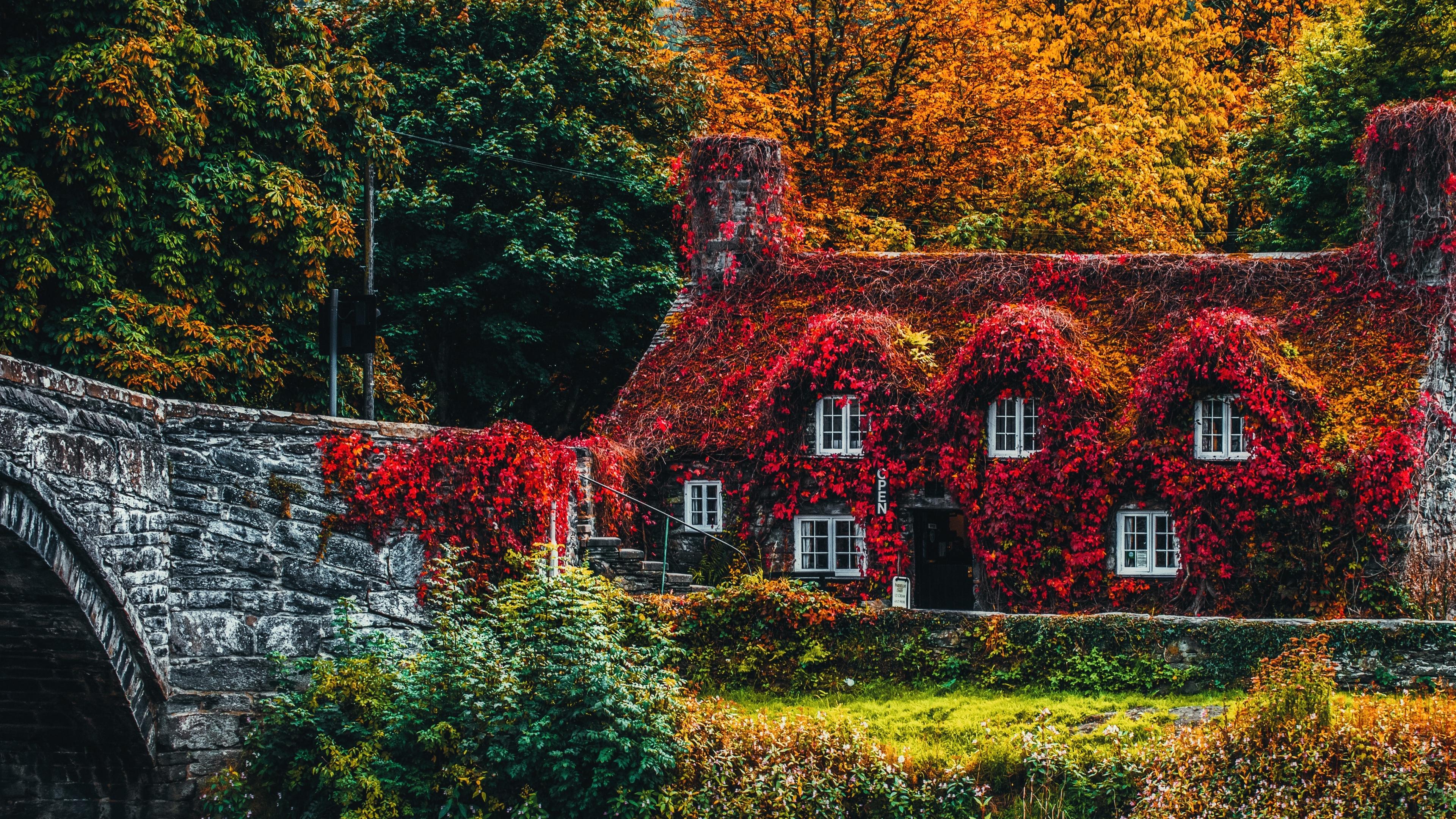 Download wallpaper 3840x2160 house, autumn, river, foliage, autumn