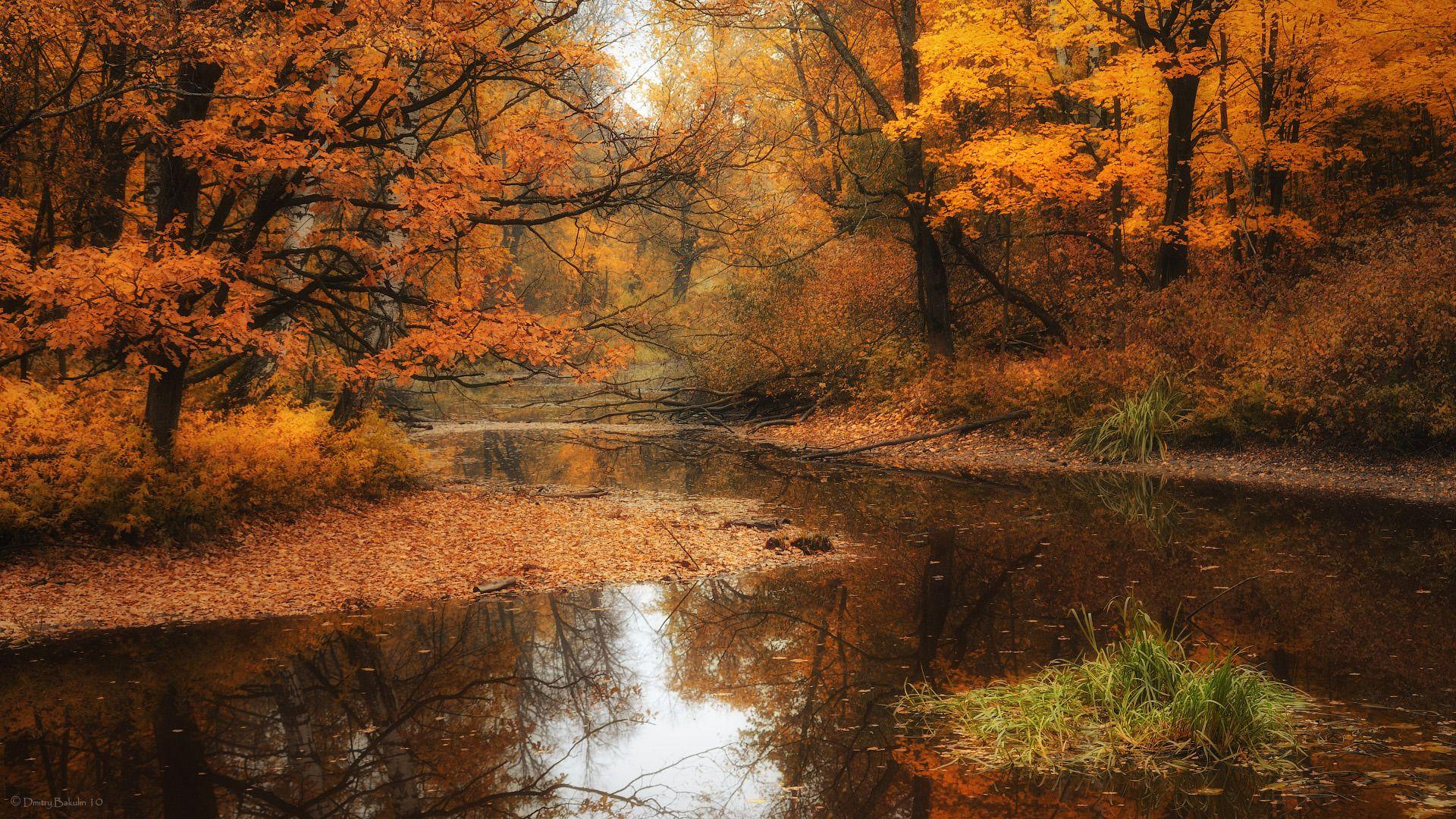Image detail for -River at autumn wallpaper River at autumn