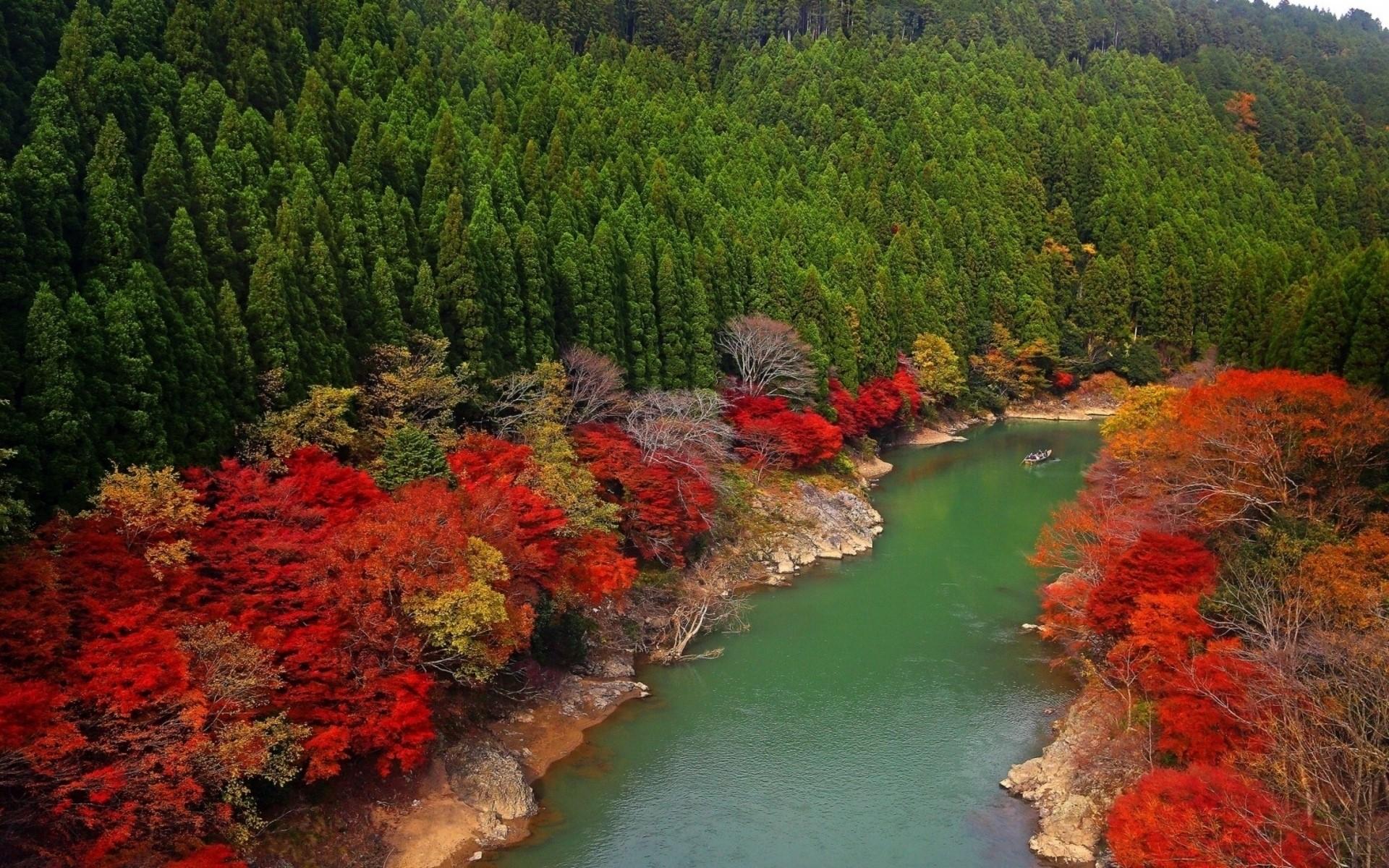 Autumn, River, Forest wallpaper and background. Nature