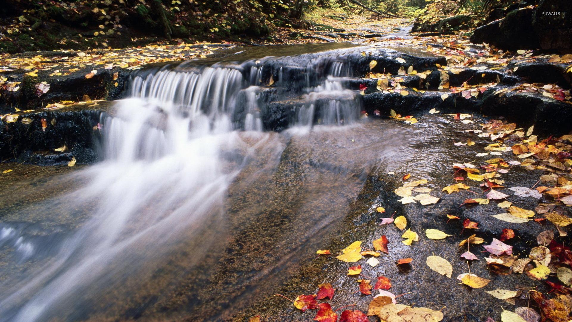 Autumn leaves in the waterfall wallpaper wallpaper