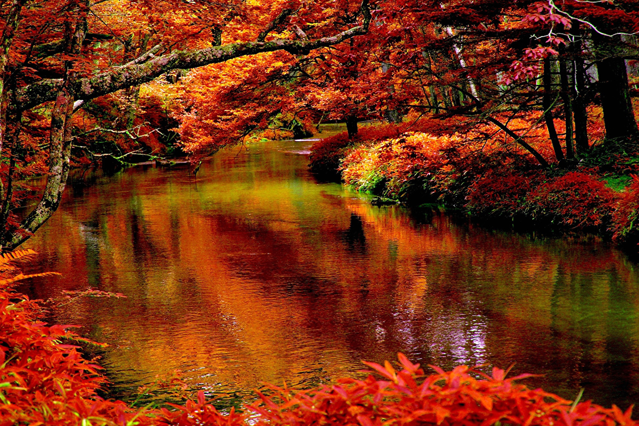 Desktop Wallpaper Nature Autumn Rivers Shrubs Seasons