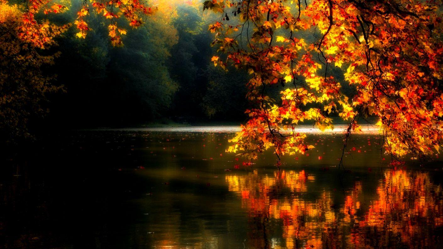 Beautiful Autumn Forest River Wallpaper Desktop