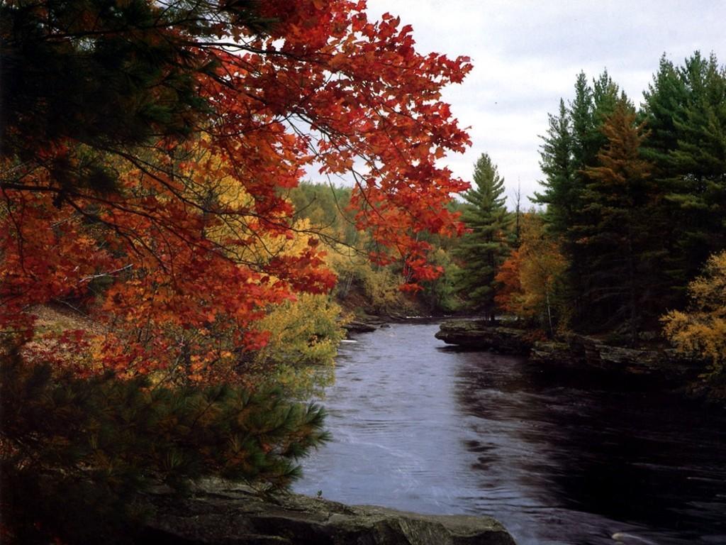River: Autumnsupreme Autumn River Fall Nature Forest Wallpaper