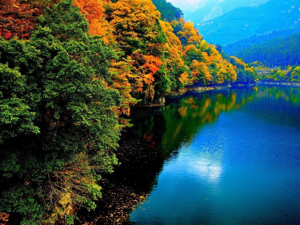 Rivers: Trees Blue Autumn River HD Background for HD 16:9 High
