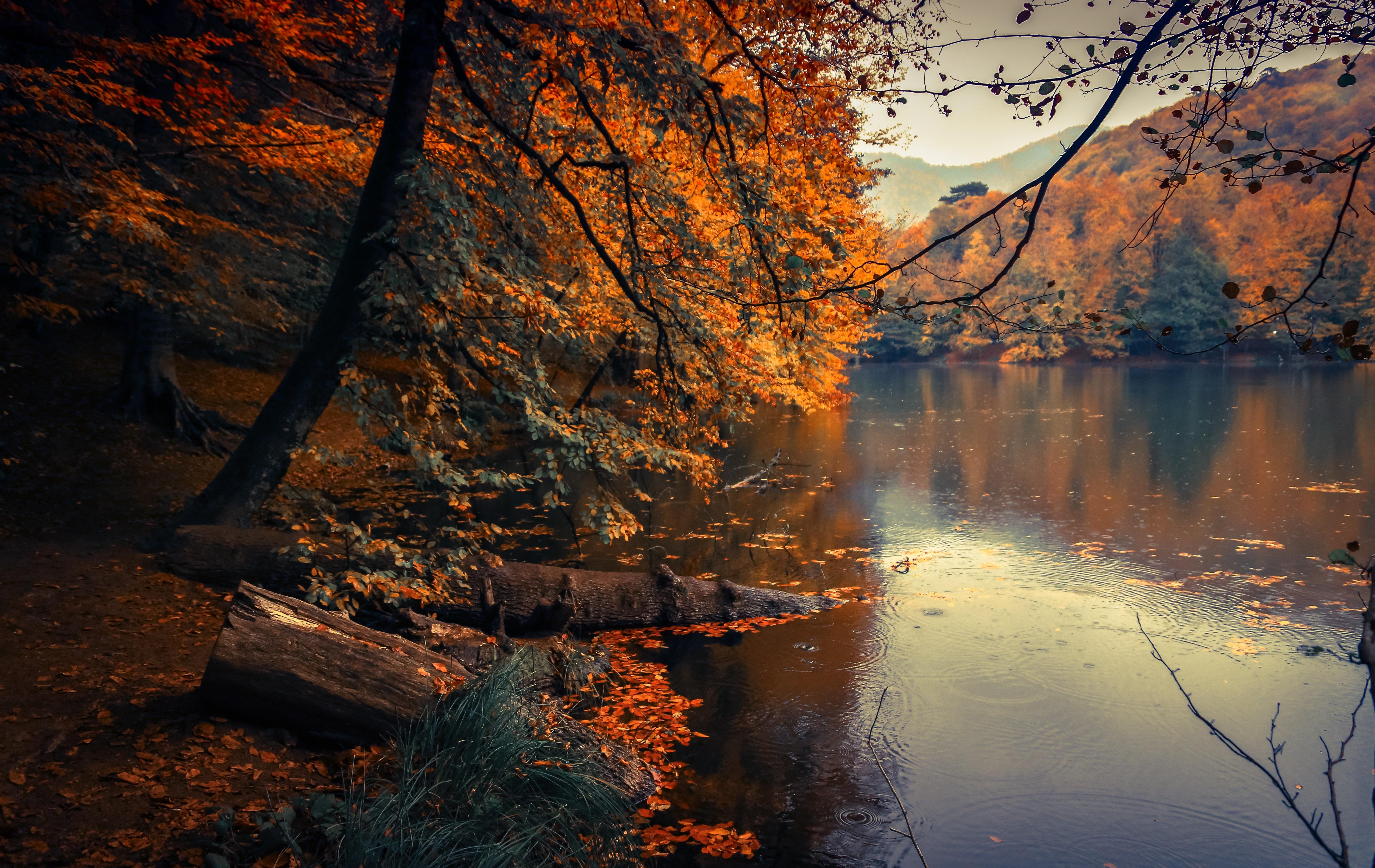 Autumn River Bank (Photo credit to Emre) [5472 x 3454]