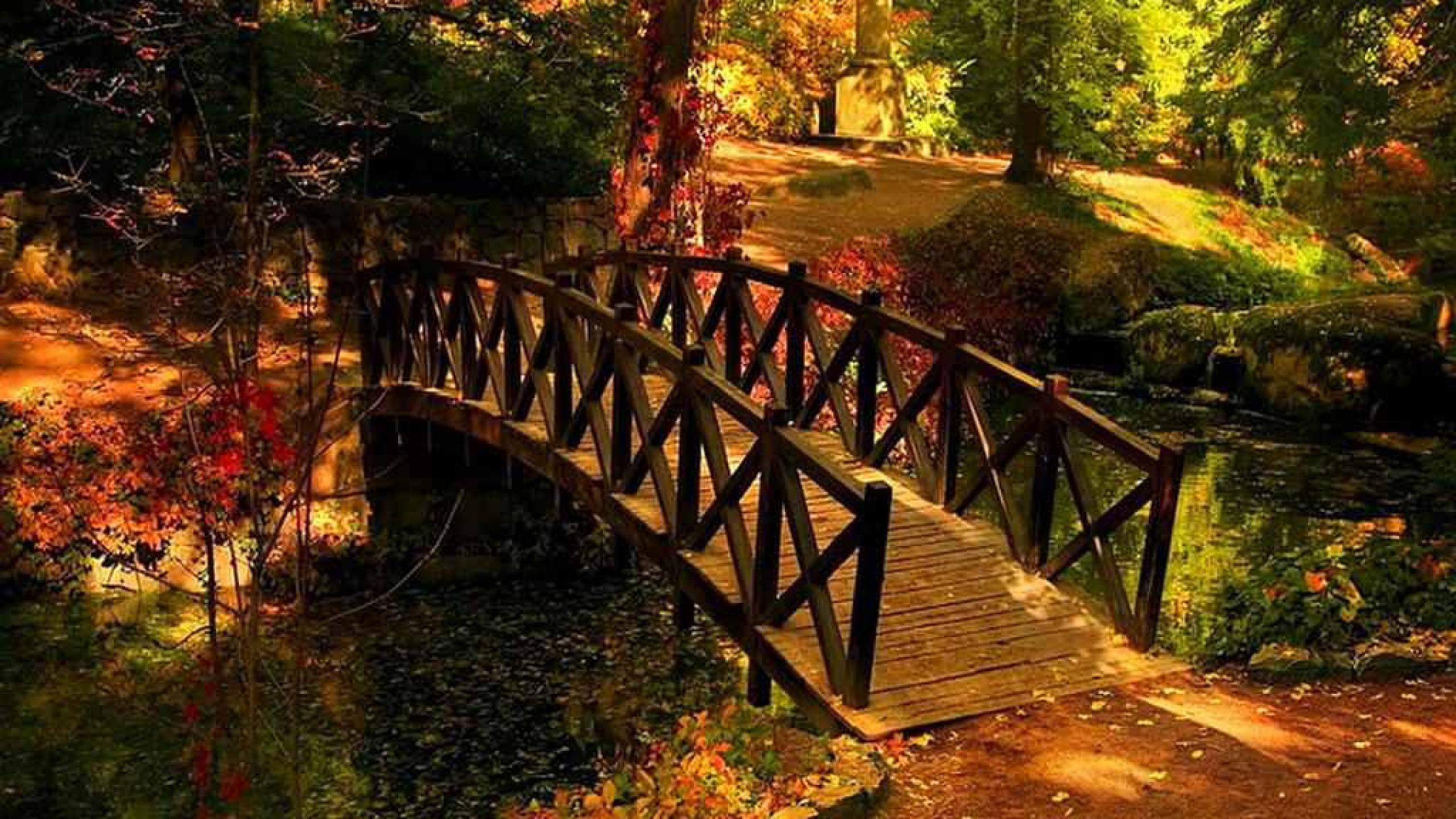 Wooden, Bridge, Trees, River, Path, Autumn, High, Definition