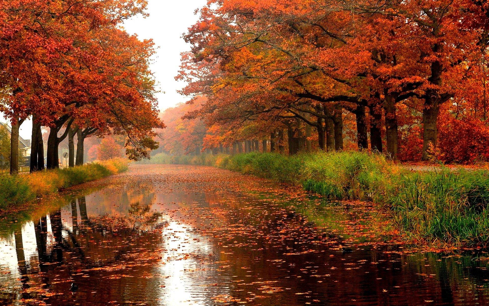 Autumn River HD Wallpaper
