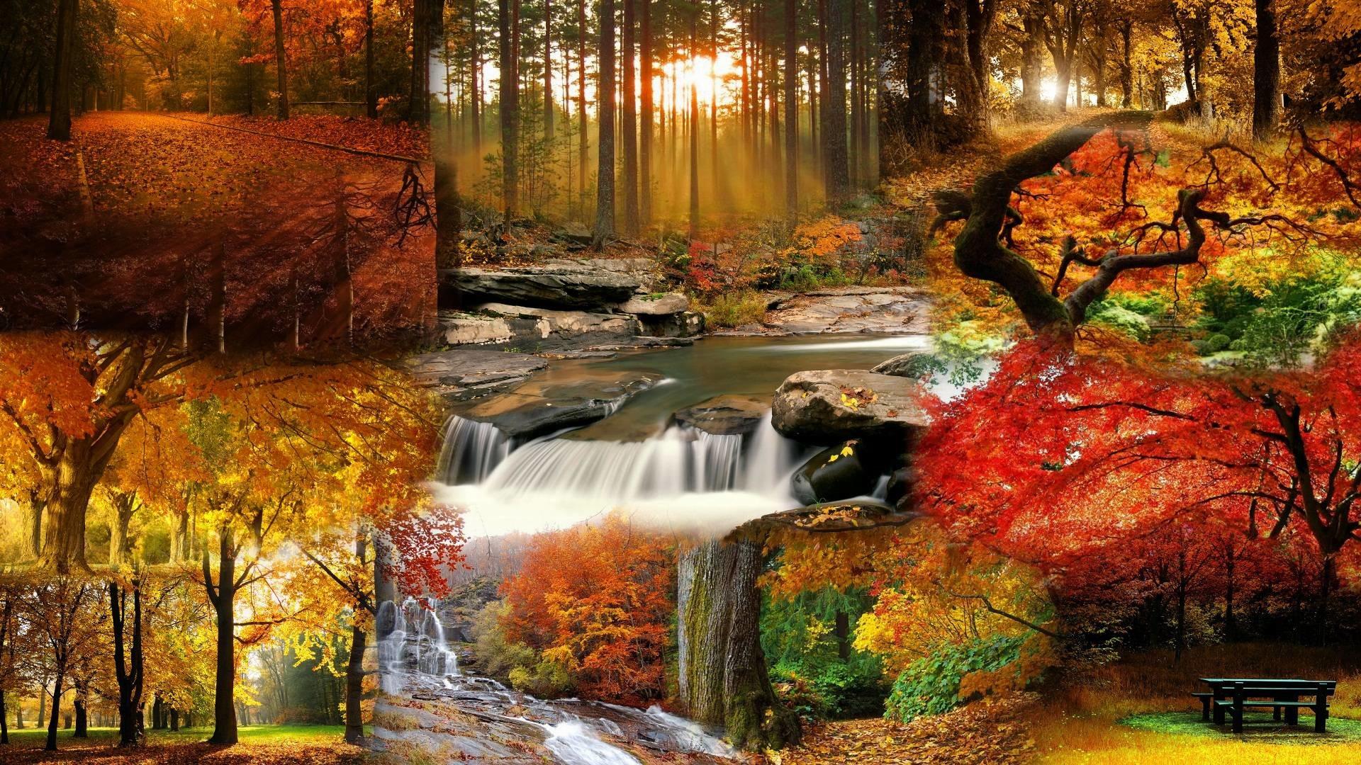 Beautiful Fall Picture Wallpaper