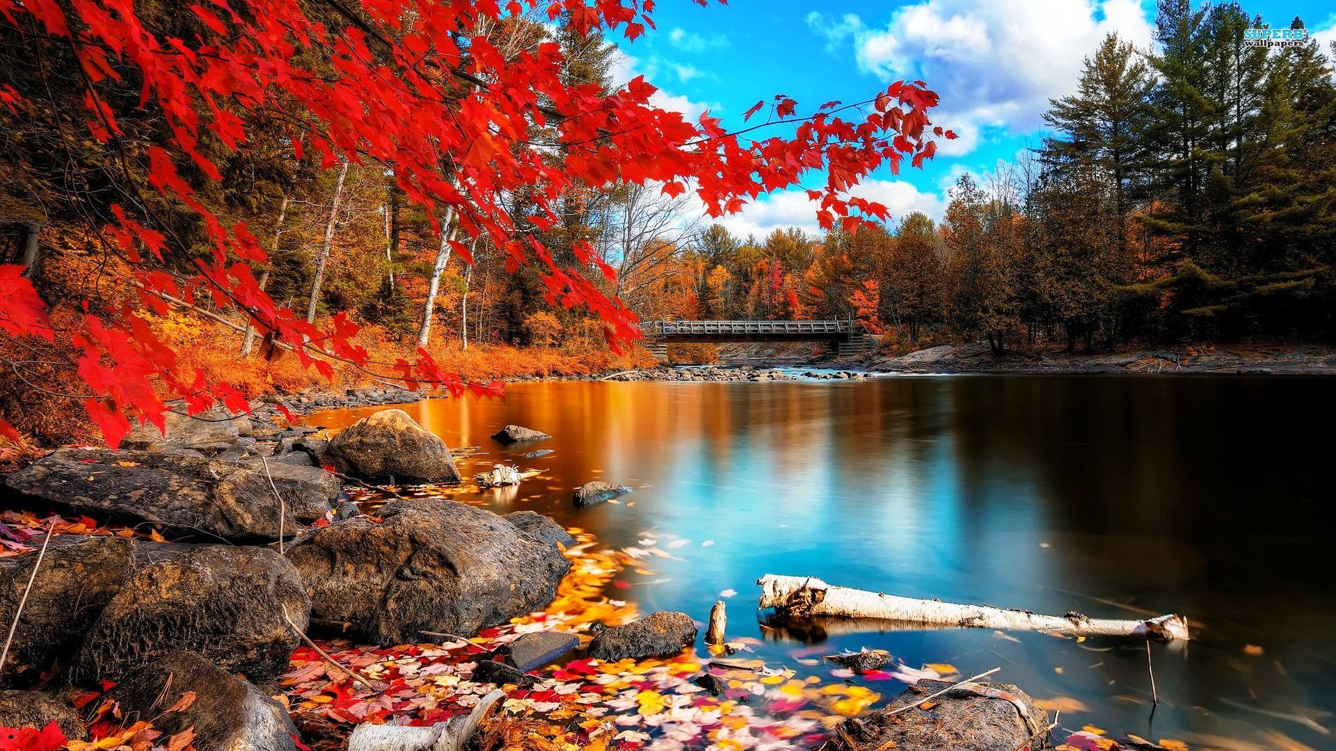 Autumn Beauty HD Wallpaper. Awesome photo. Autumn lake, Forest