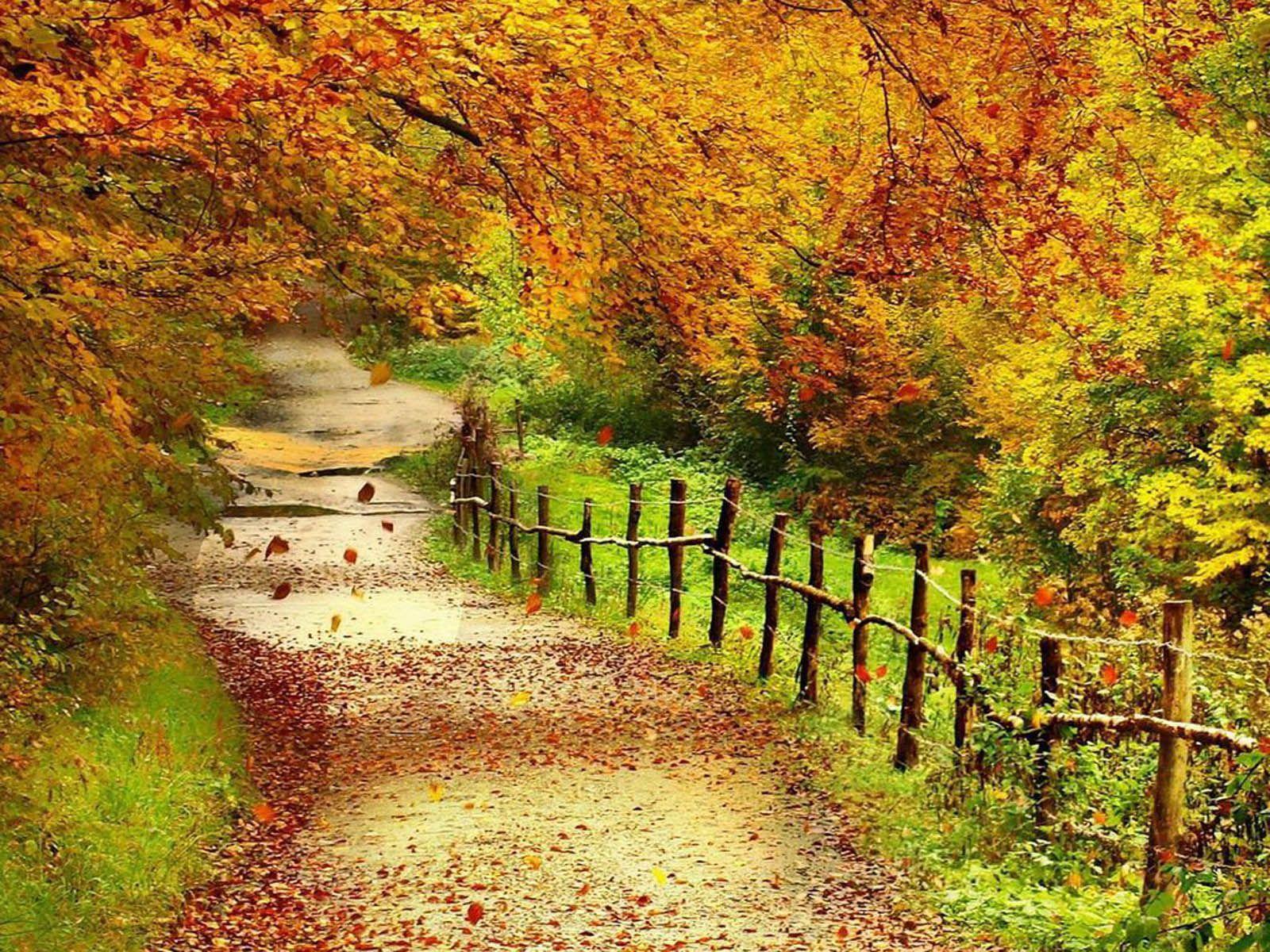 Peaceful Autumn Scene Wallpapers - Wallpaper Cave