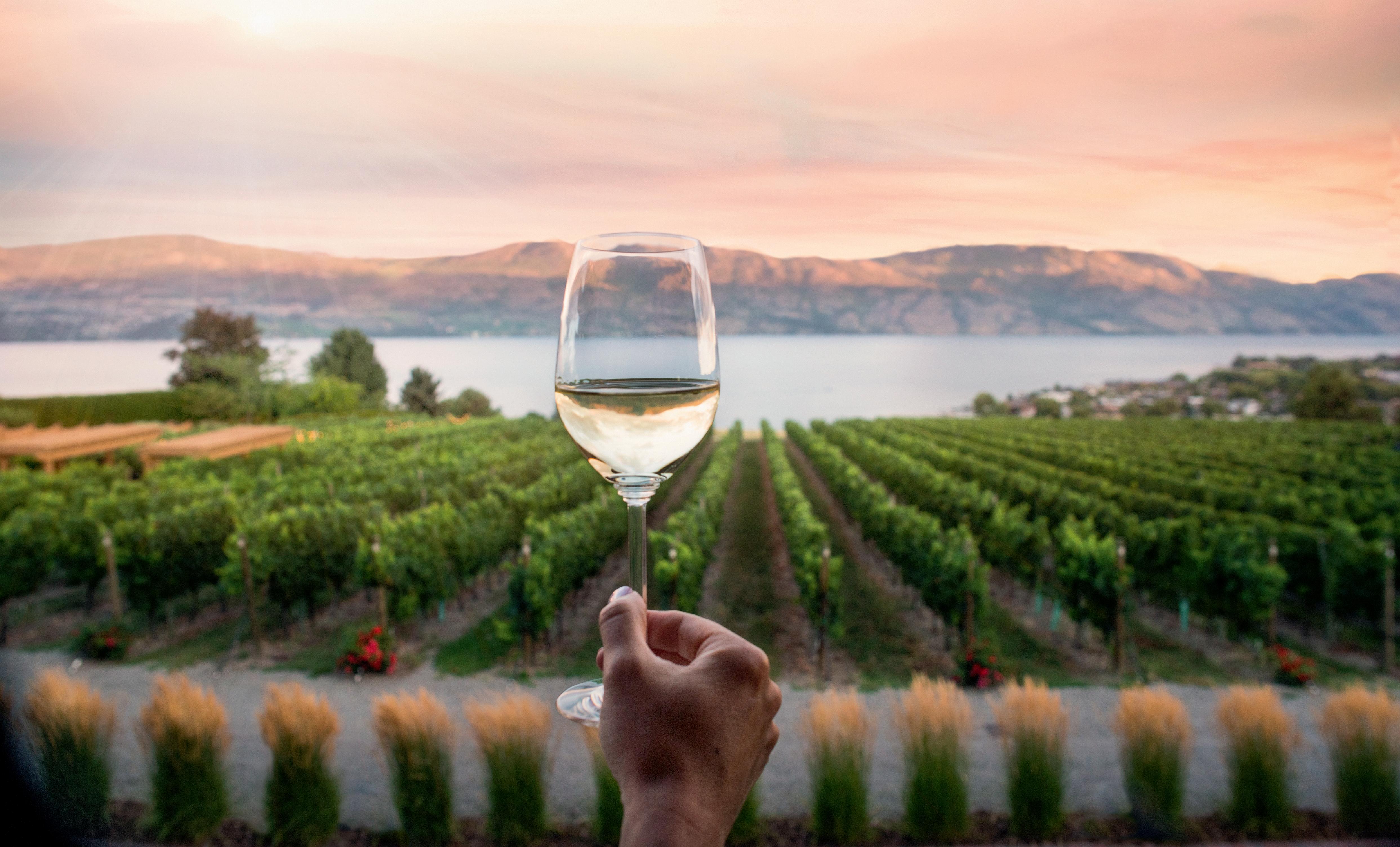 Kelowna Wineries, Wine Trails & Tours