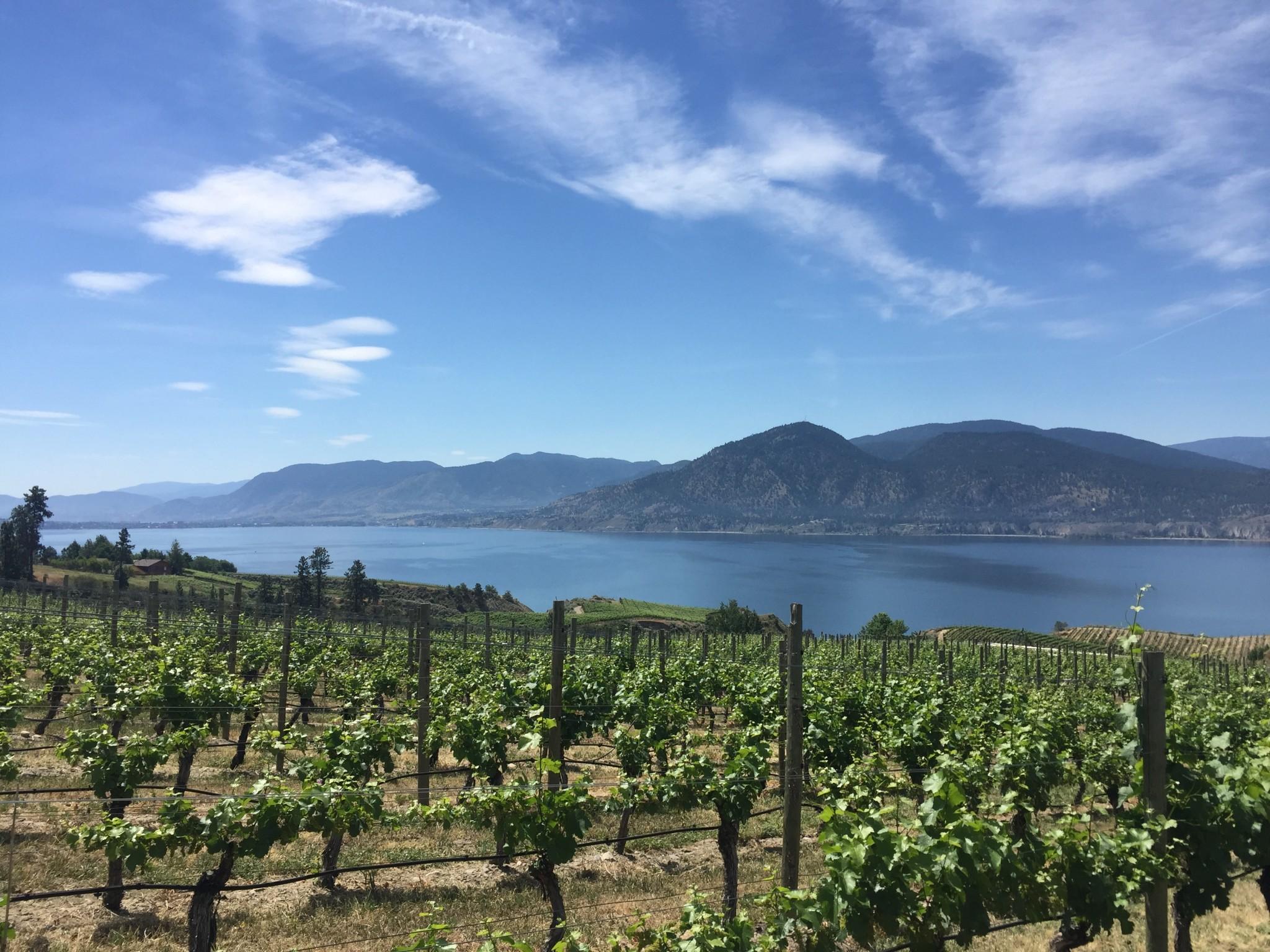 What Makes the Okanagan's Climate Unique?. Experience Wine Tours