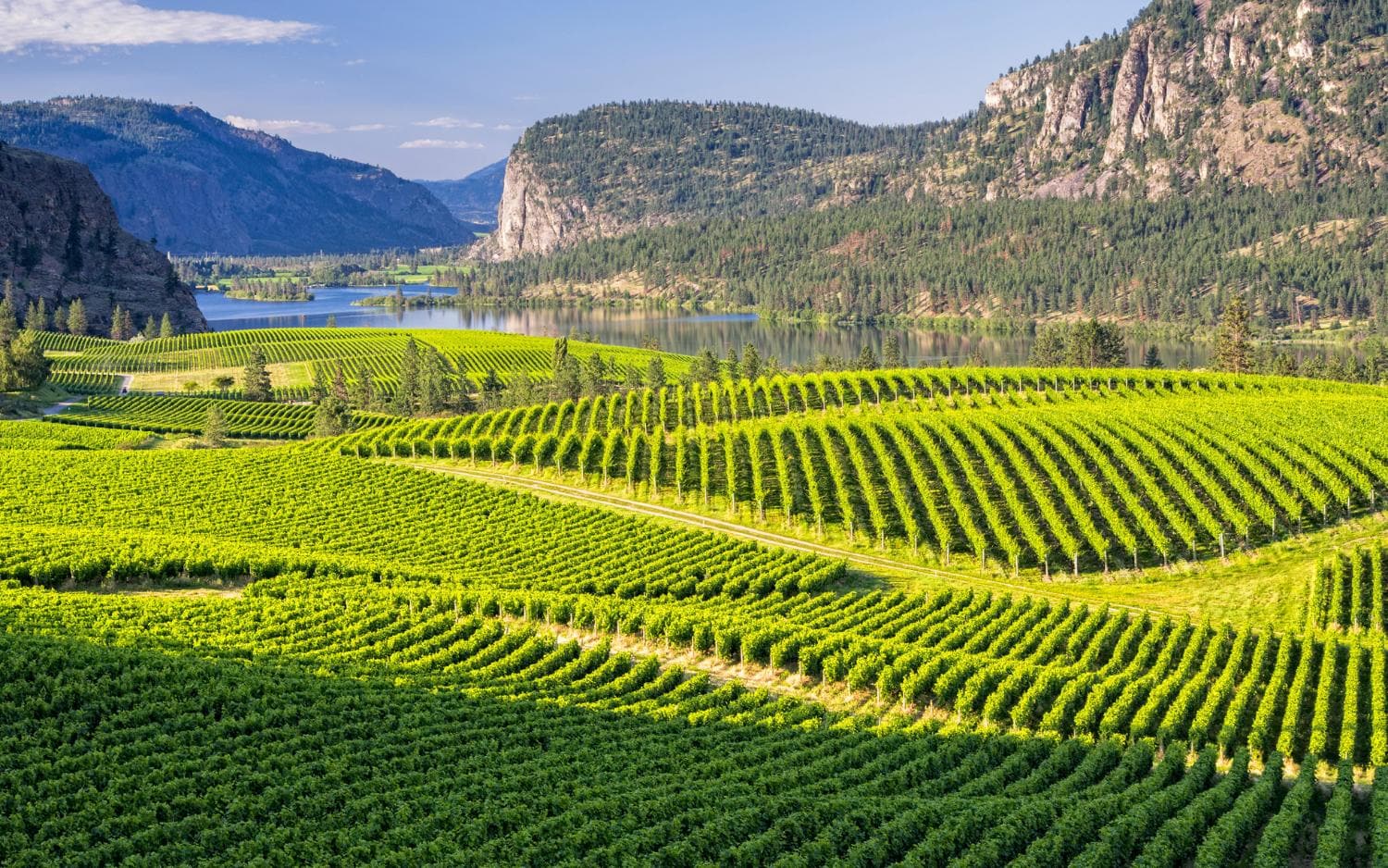 Okanagan Valley wine region is among Canada's best