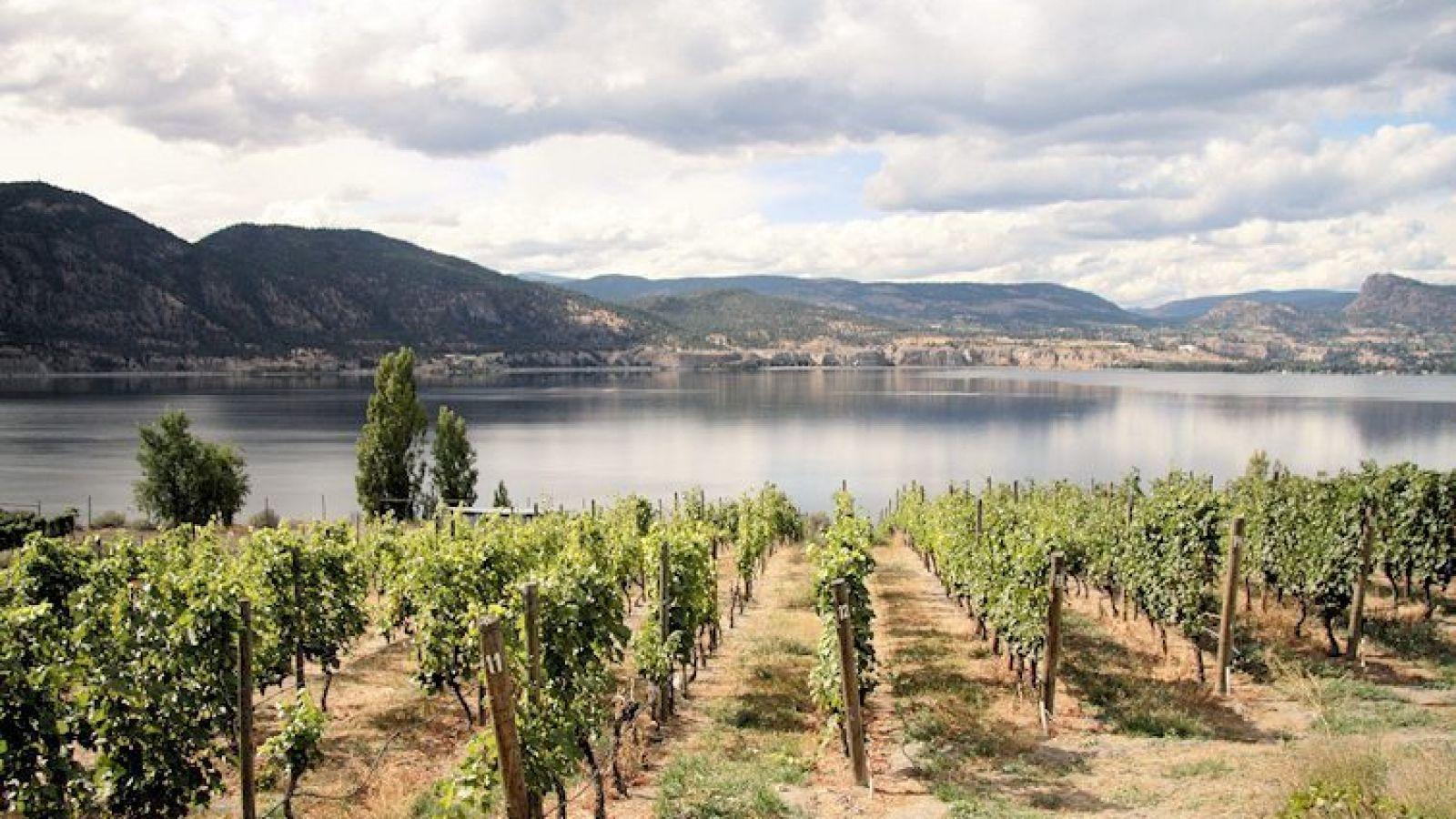 Kensington Wine Market South Okanagan Tour